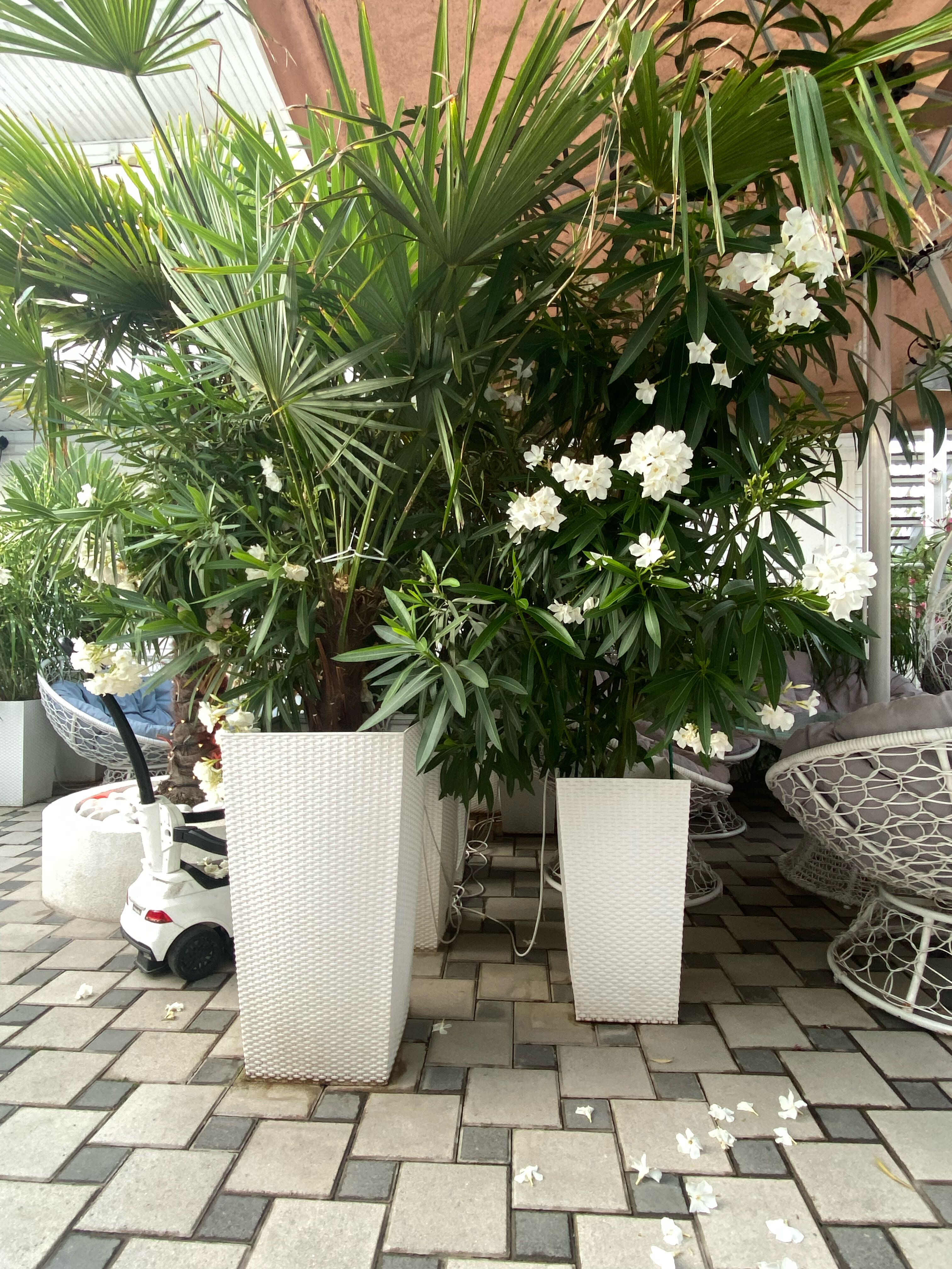 Фото Вечерний город