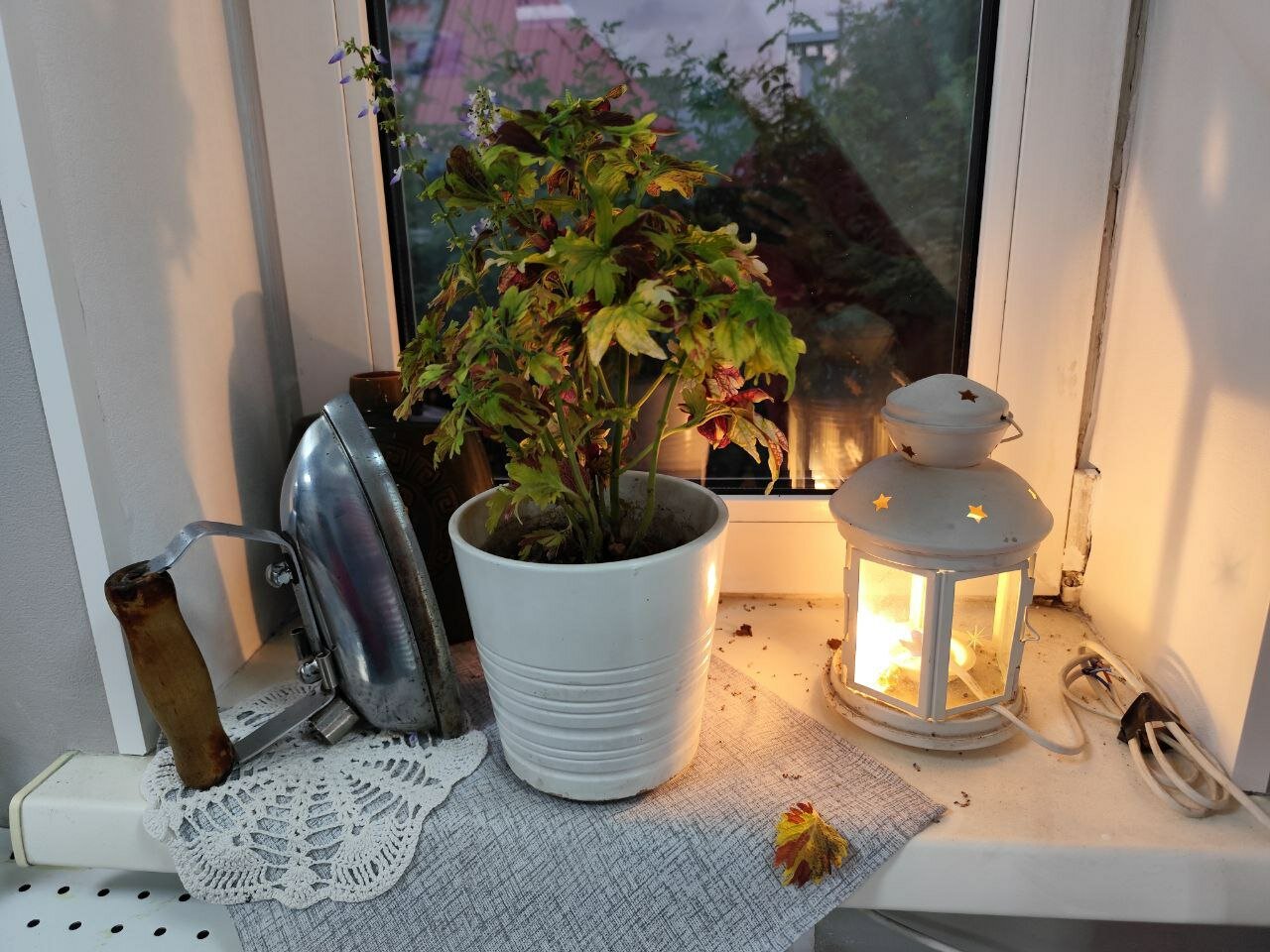 Фото День Ночь