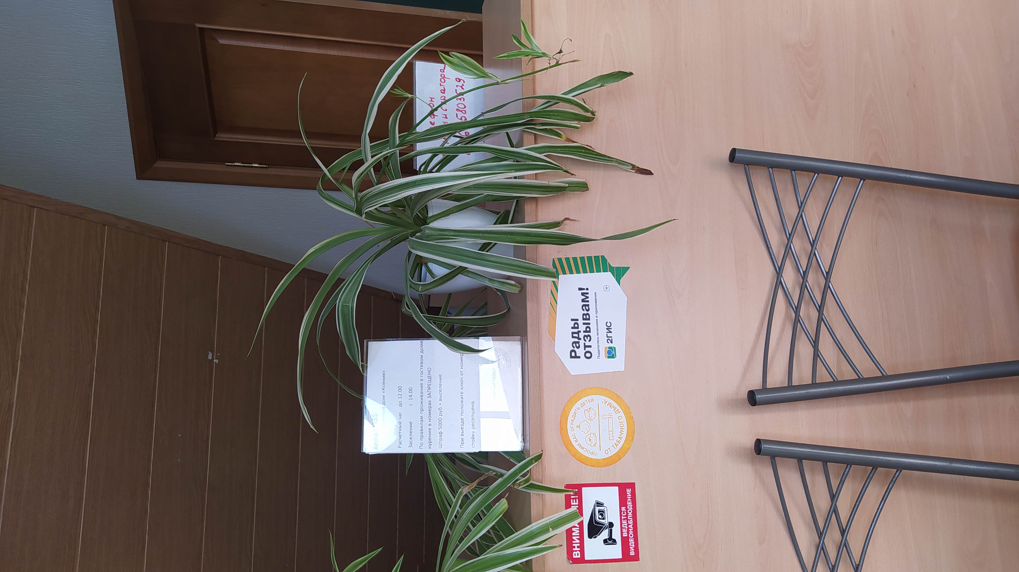 Фото Ксения