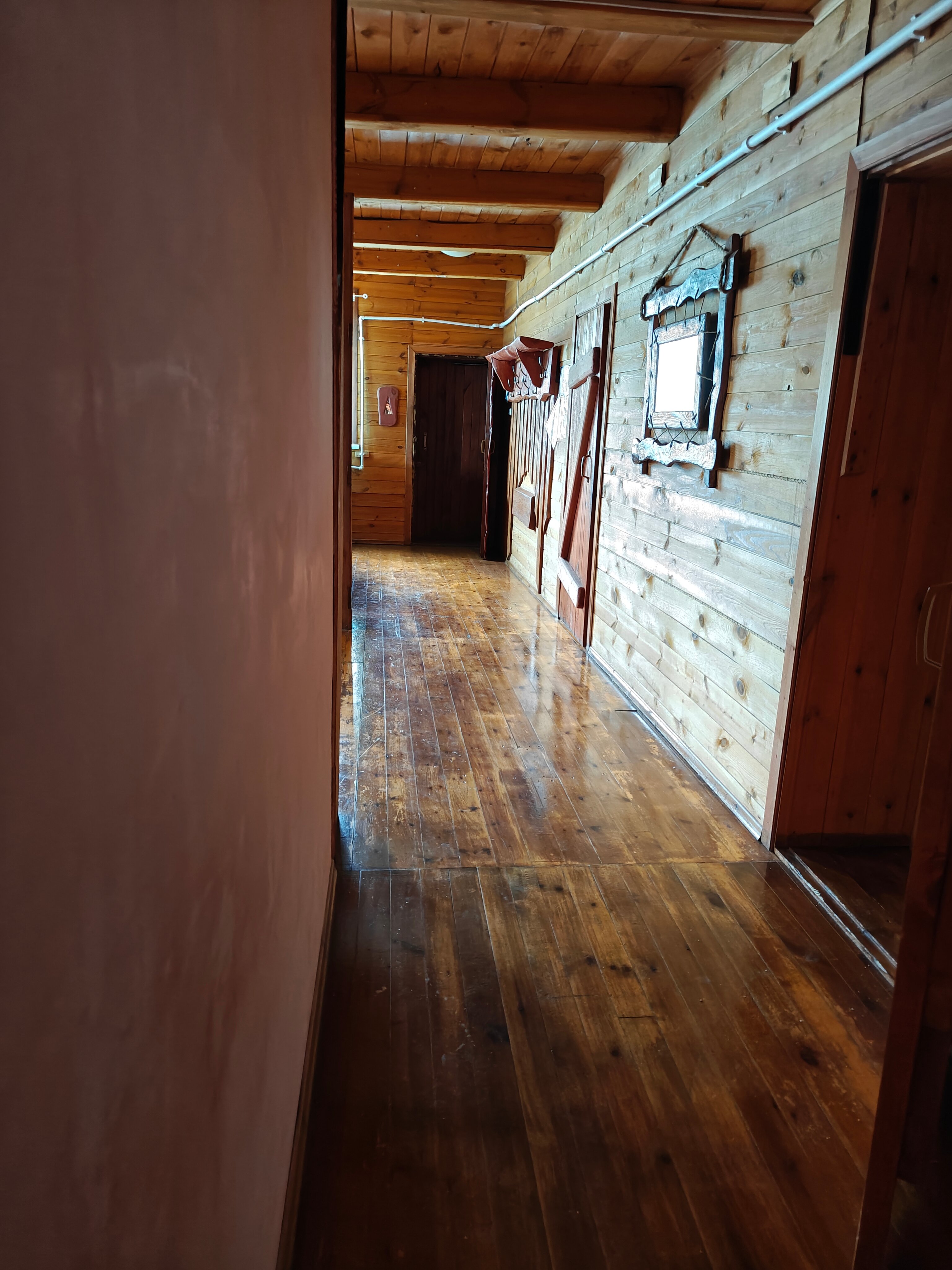 Фото Новые соседи