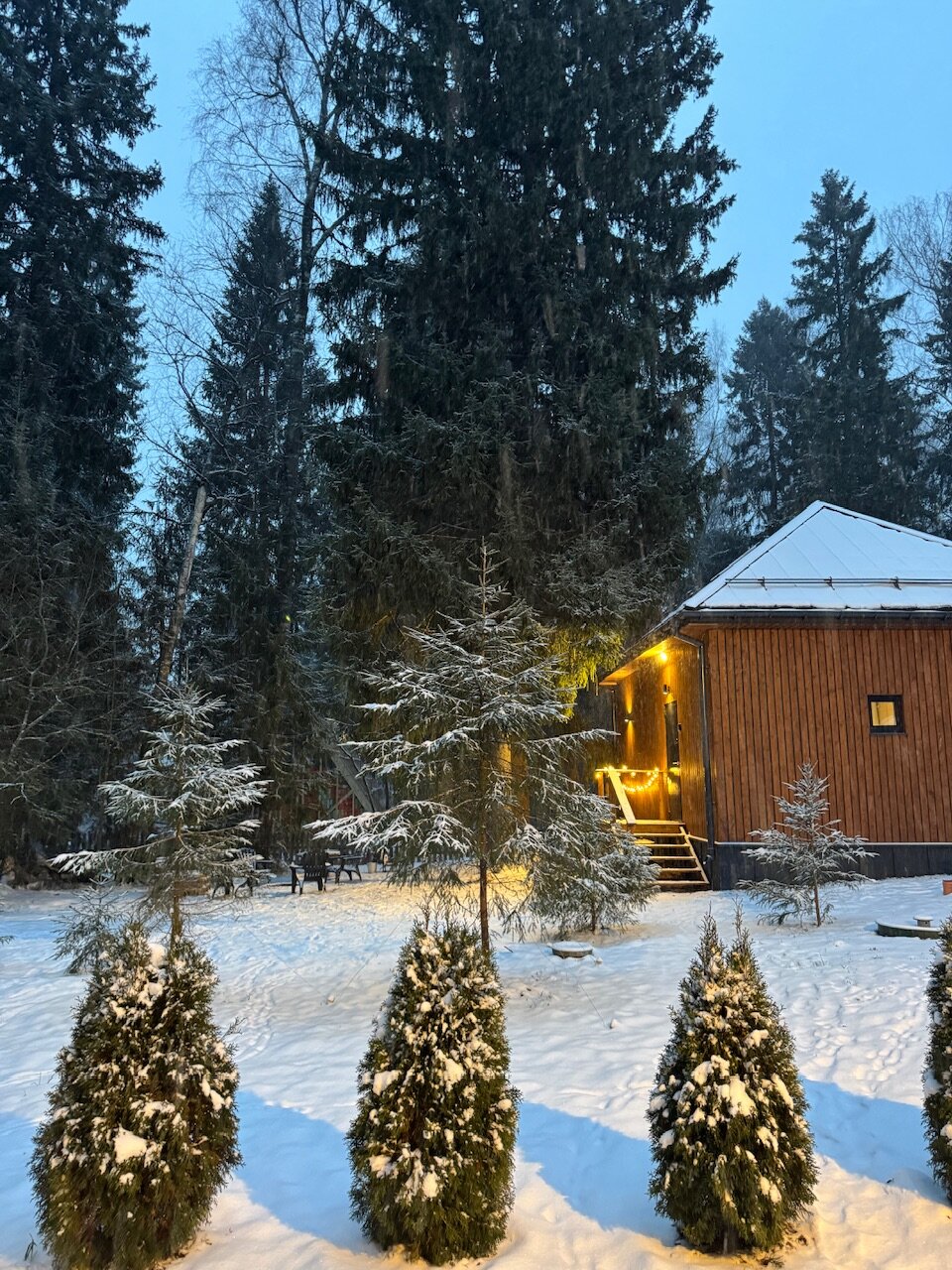 Фото Дом и Елки