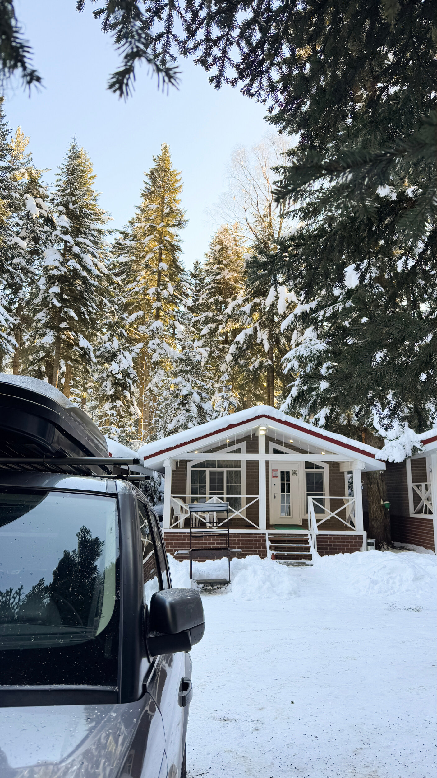 Фото Шале Пихта