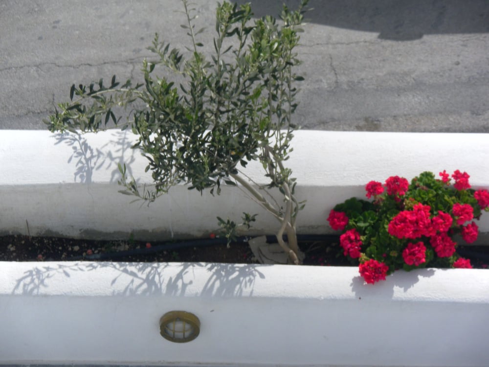 Фото Summer Time