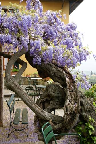 Фото Pensione Bencistà