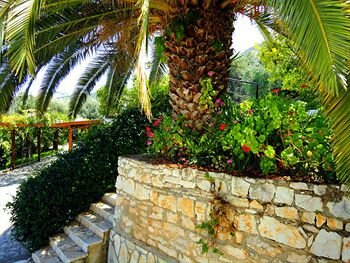 Фото Dionysos Apartments