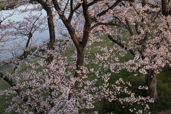 Фото Hotel Dressy -Adults Only