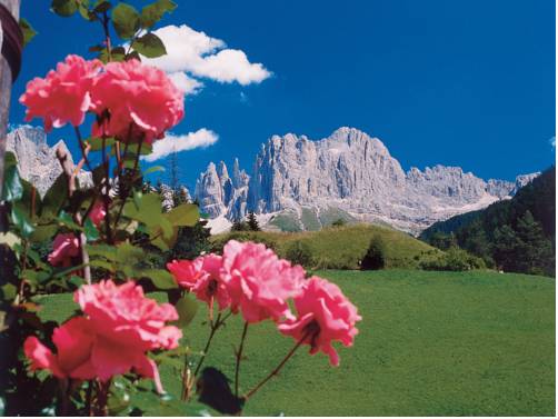 Фото Hotel Linde