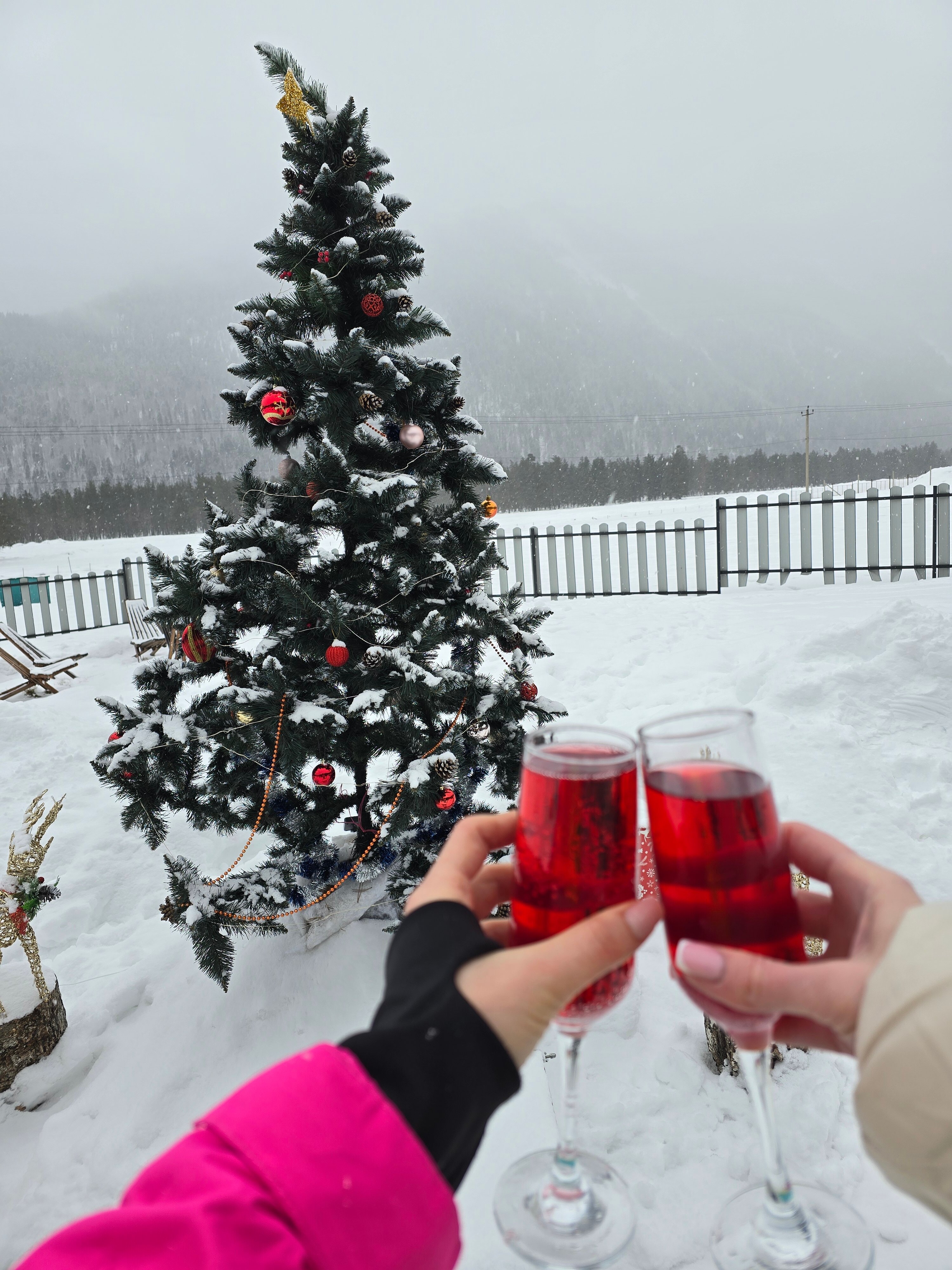 Фото Gusar House