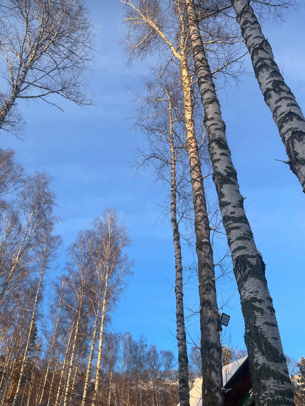 Хутор Кедровый — фото 32