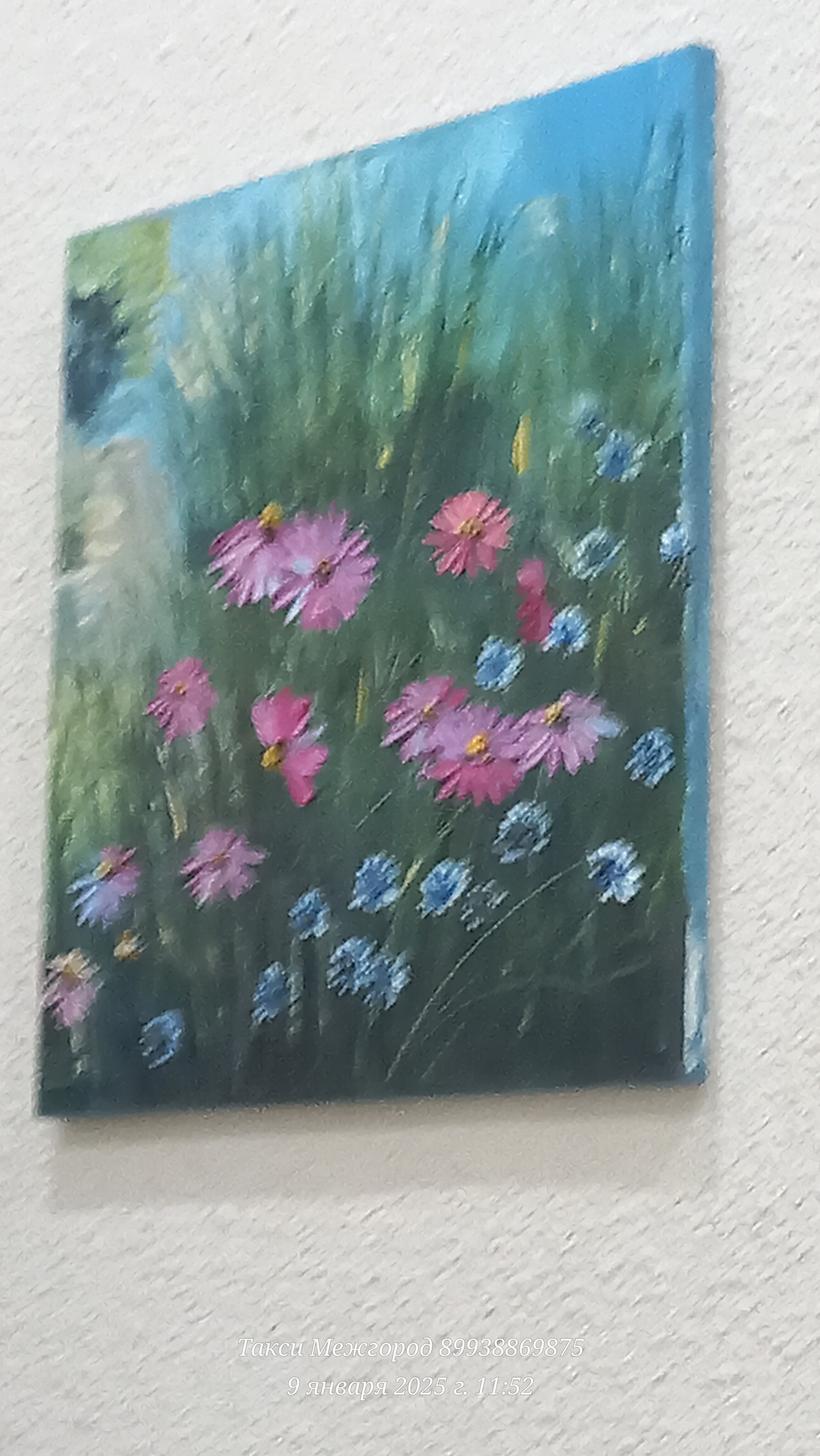 Фото Хостел Волга