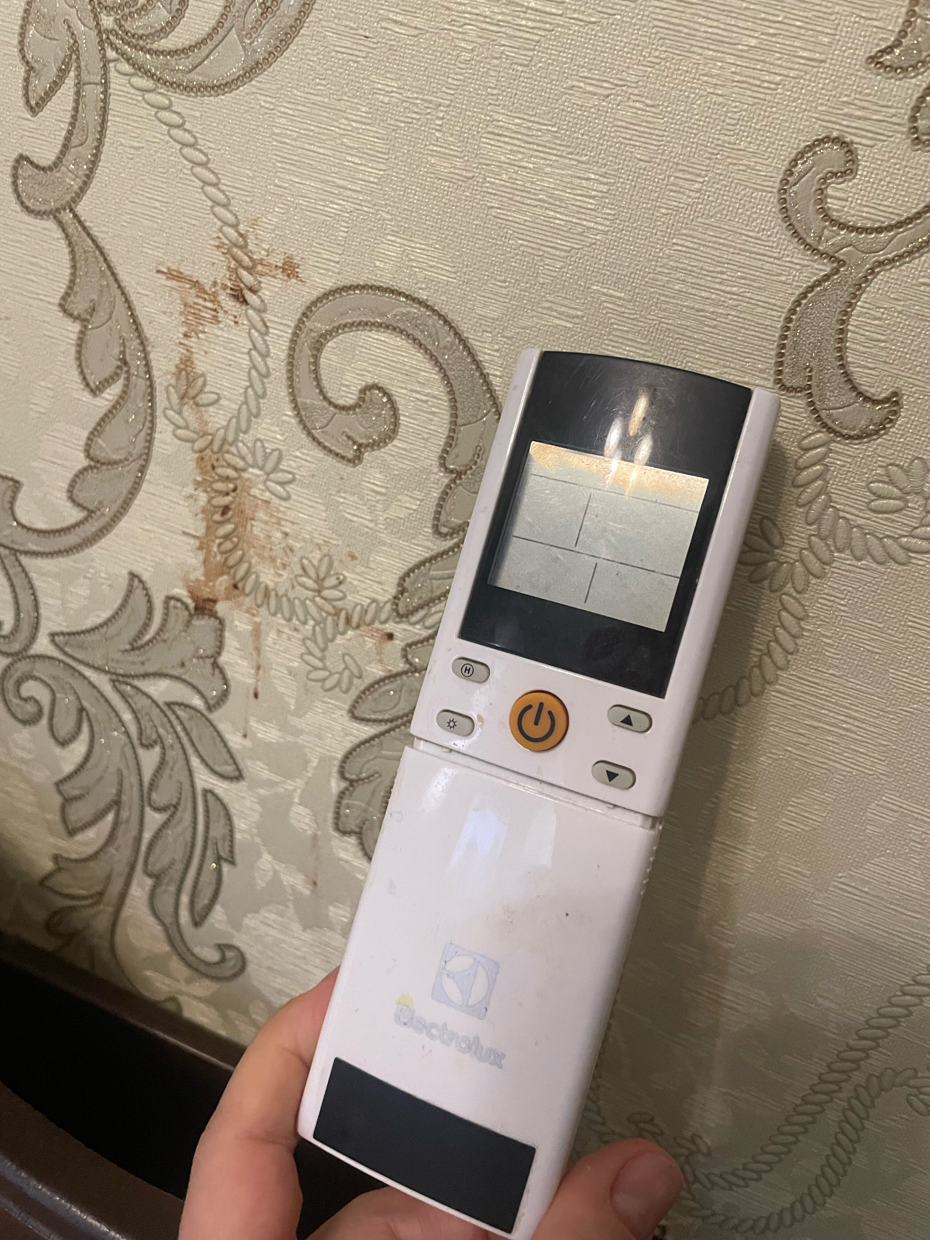 Фото Pan Tourist