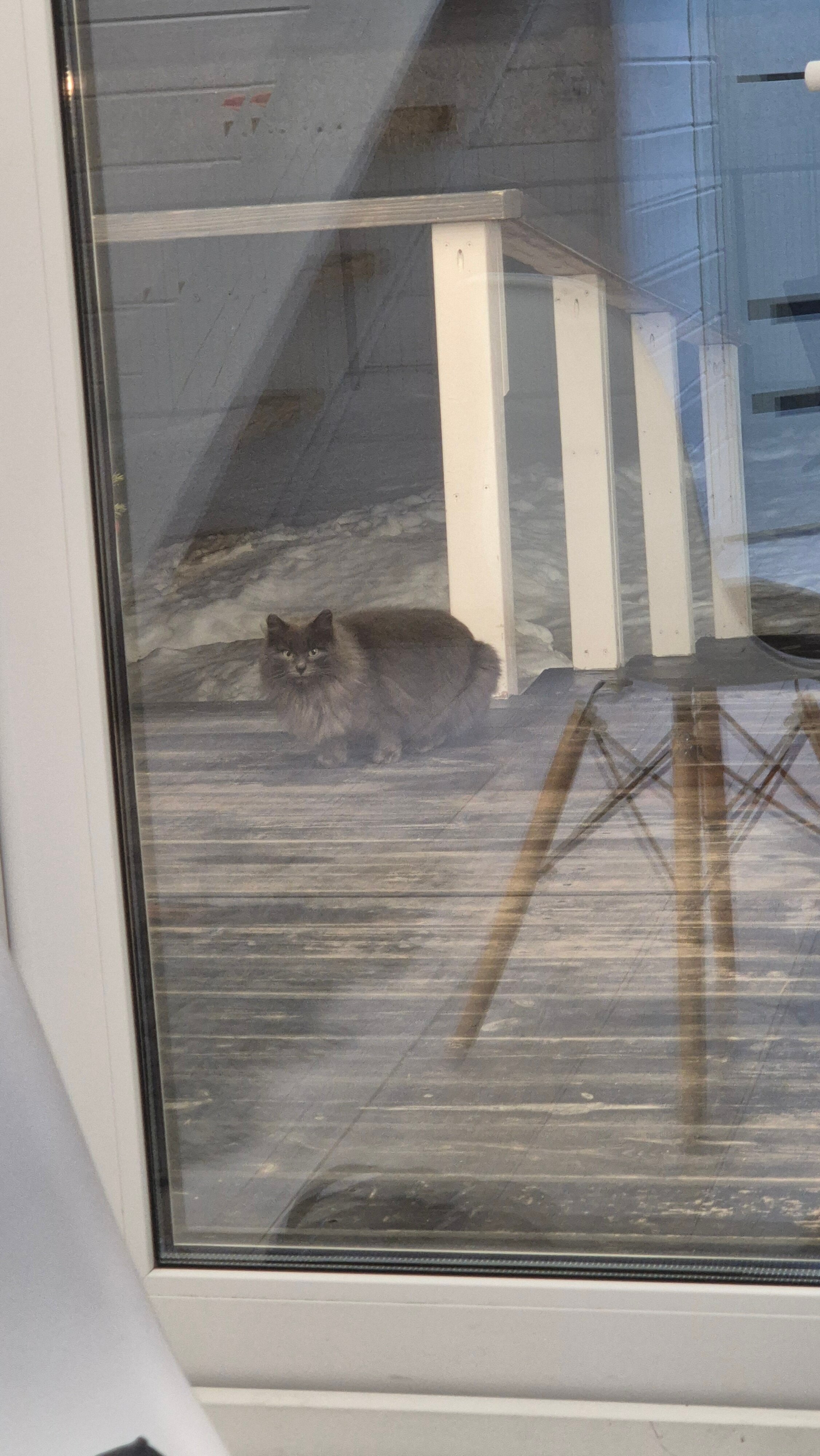 Фото White glamp