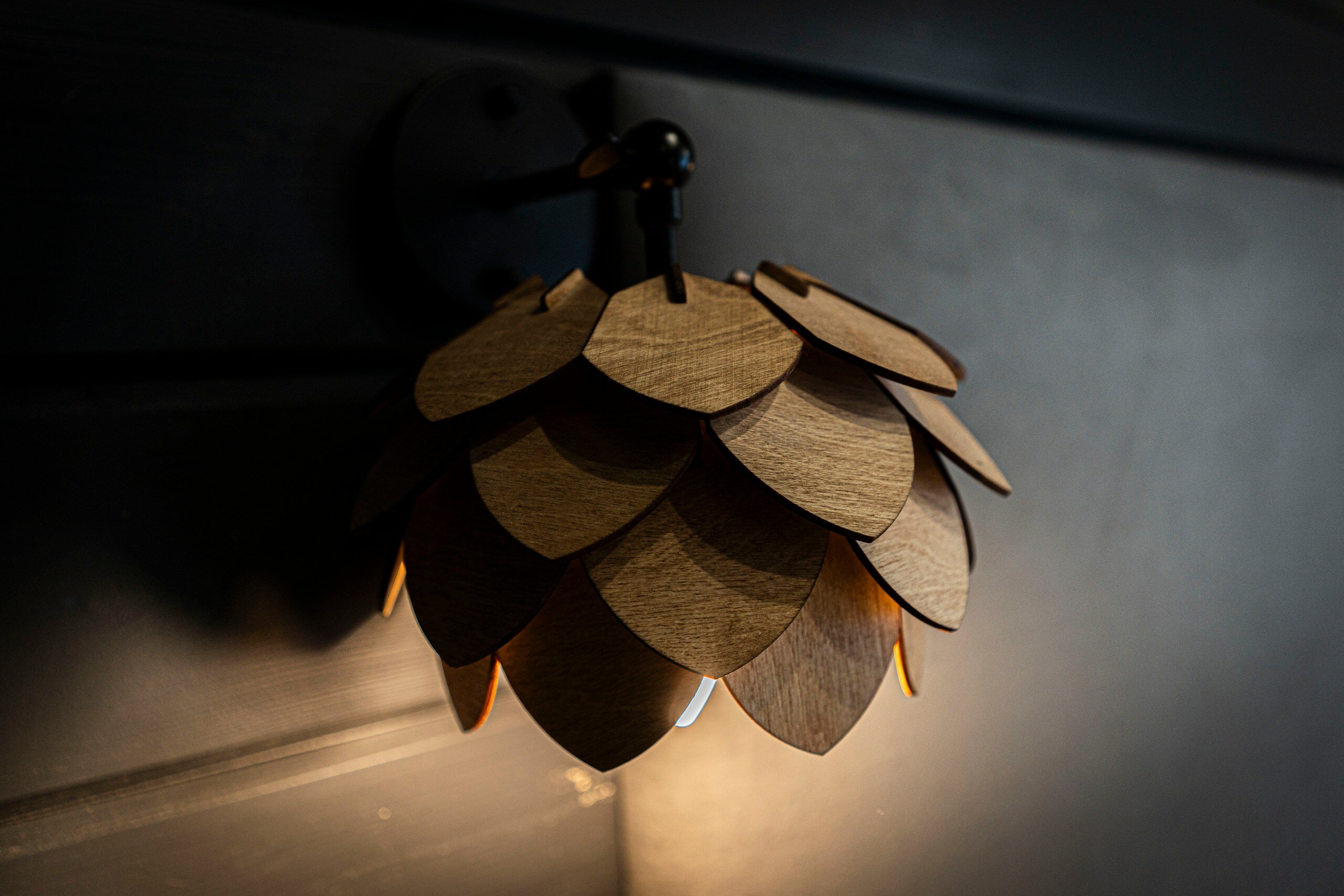 Фото Хутор Кууса