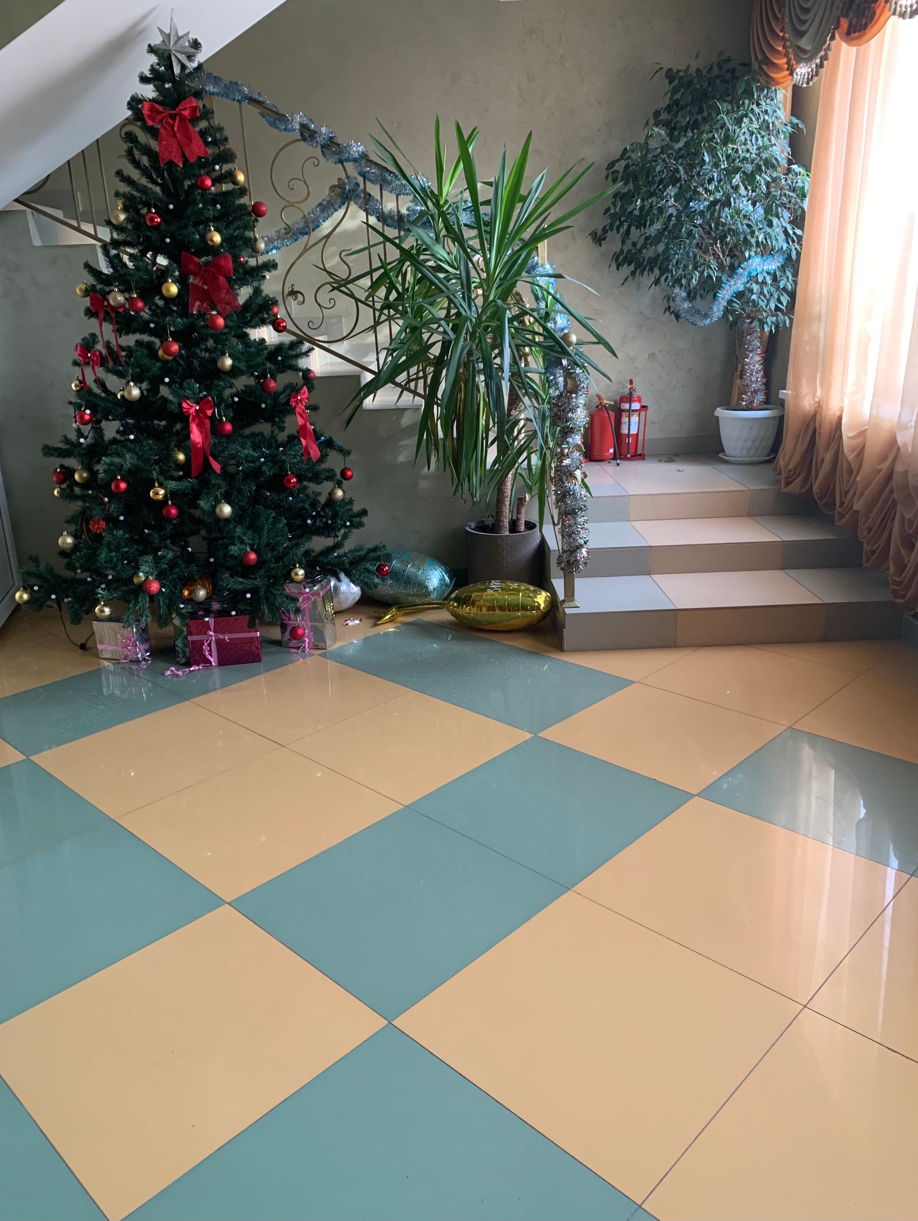 Фото Династия