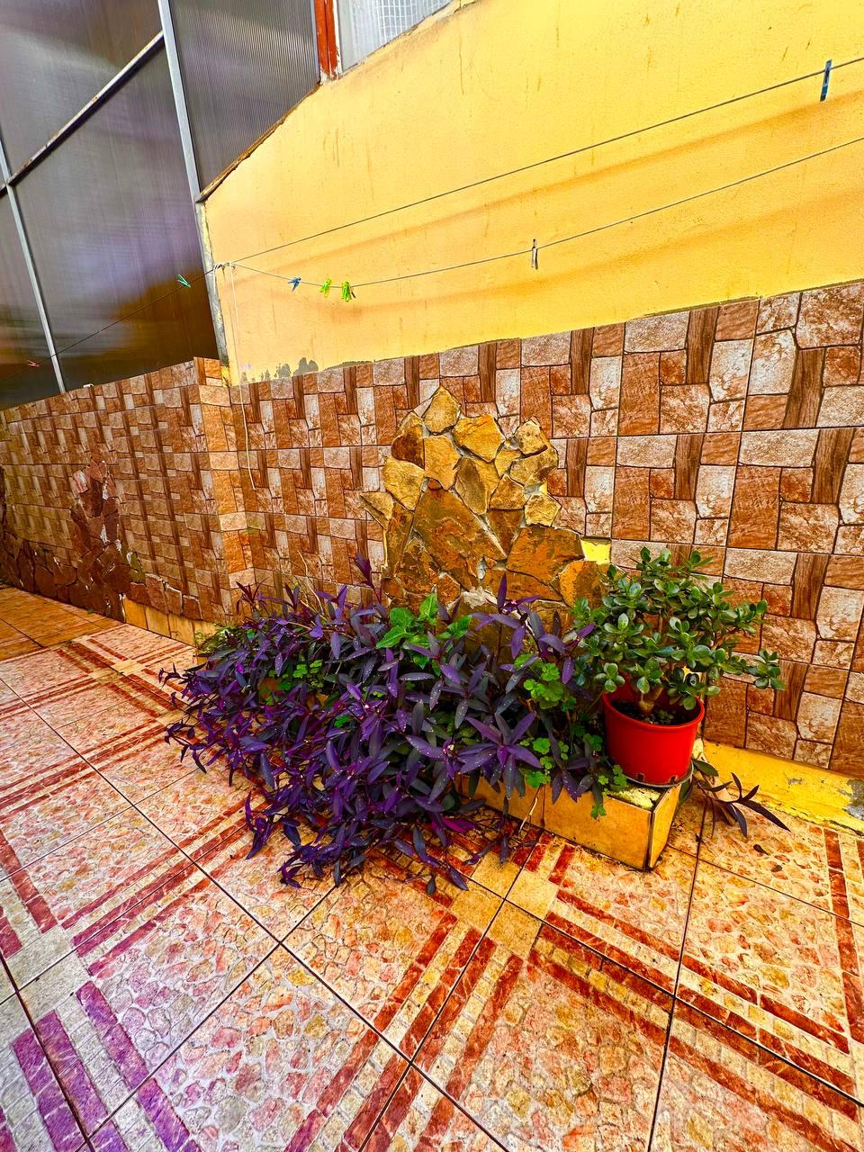 Фото Белый парус