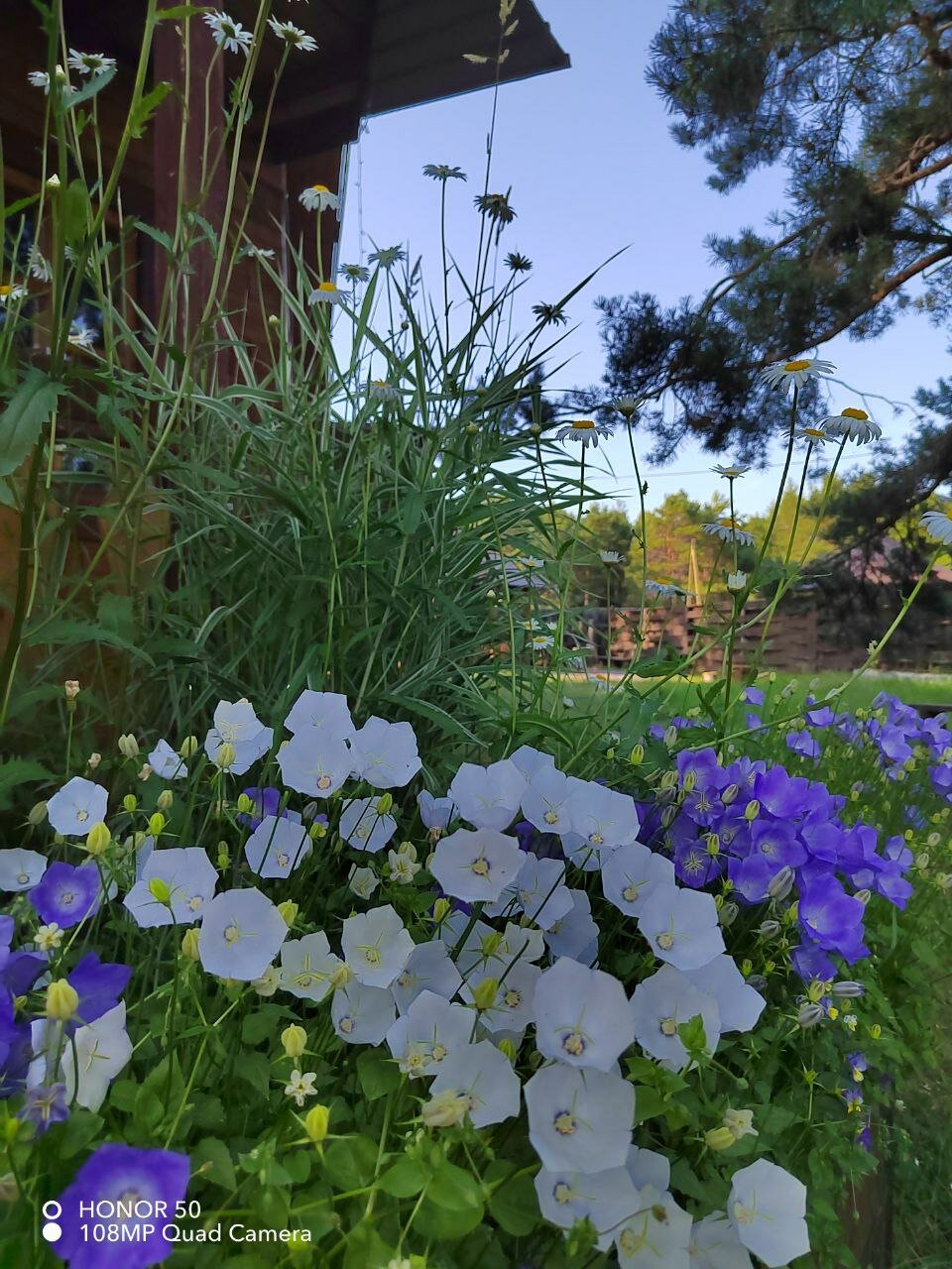 Фото Семейный