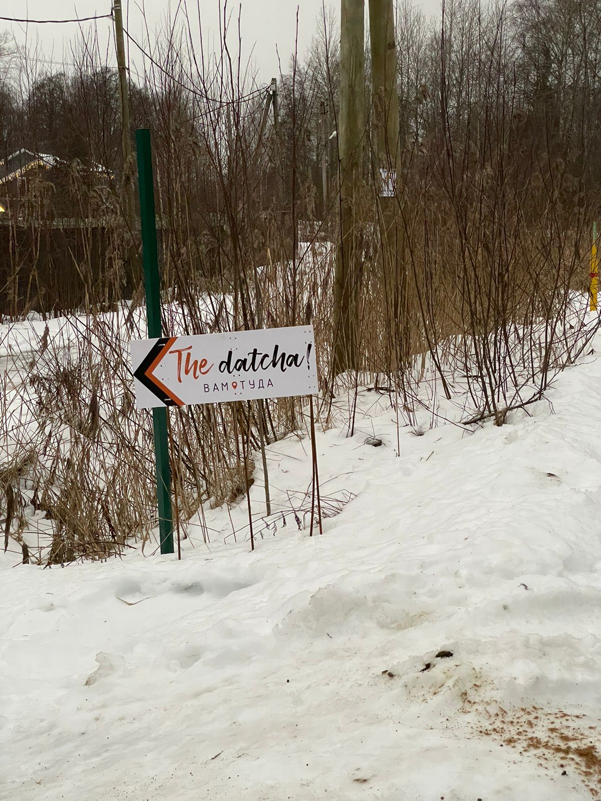 Фото The Datcha!