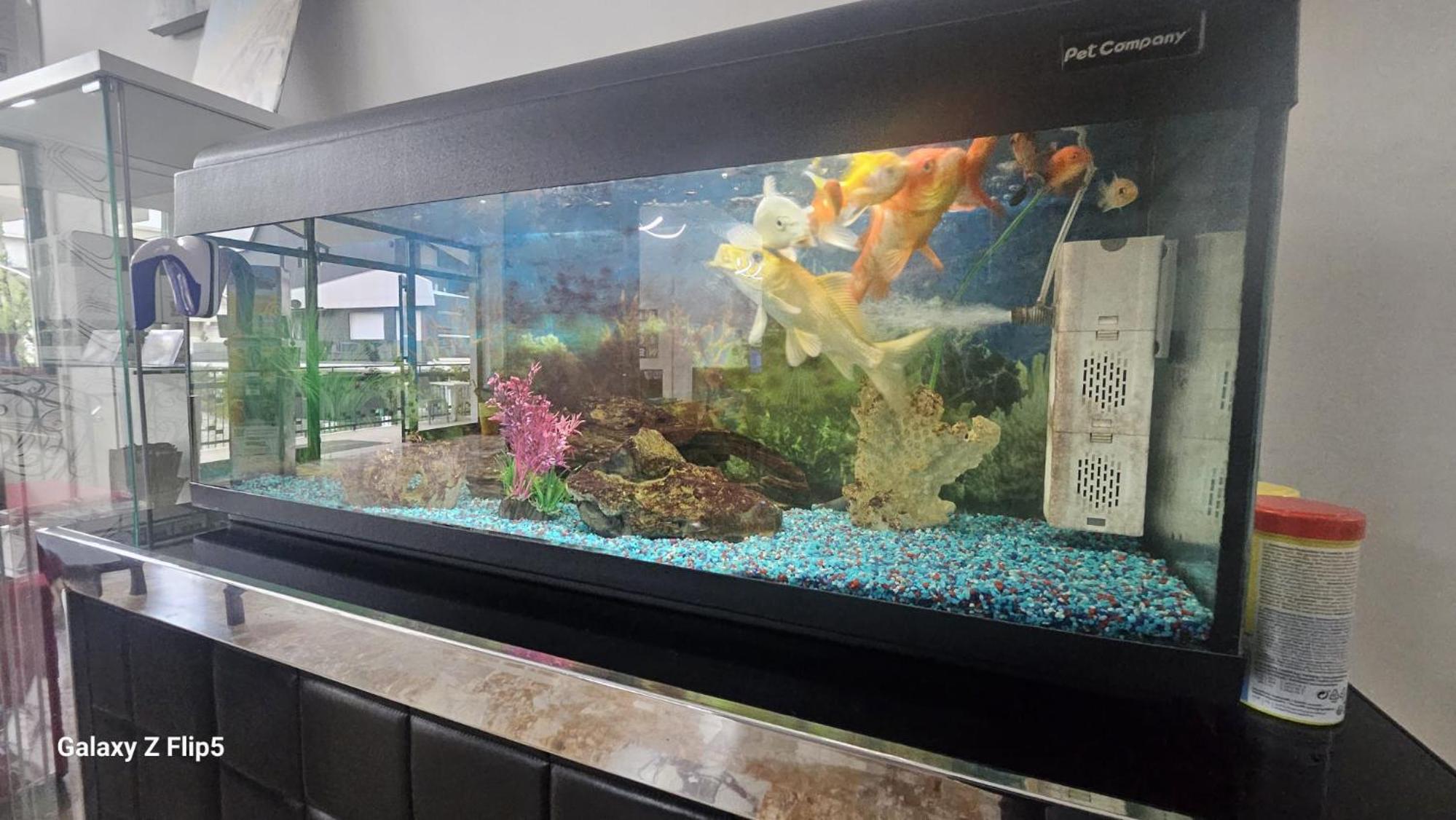 Фото Hotel Viscount