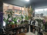 Ciceklerin Gucu (İstanbul, Şişli, Esentepe Mah., Kardeşler Cad., 46B), floristeria