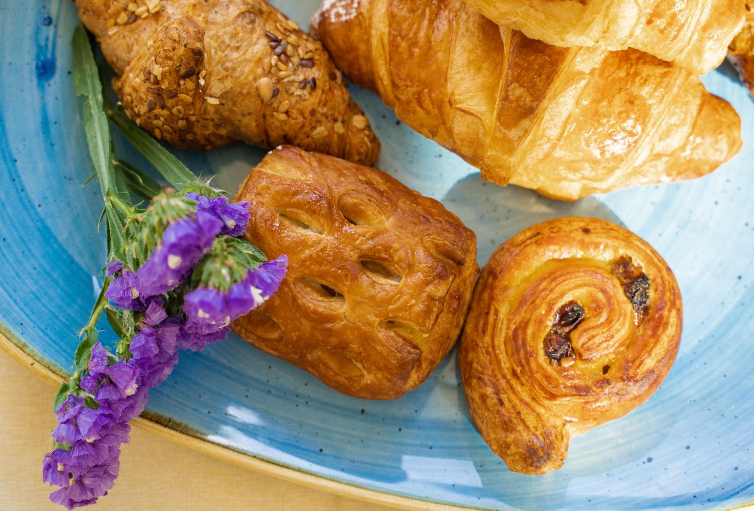 Фото Hotel Miramare