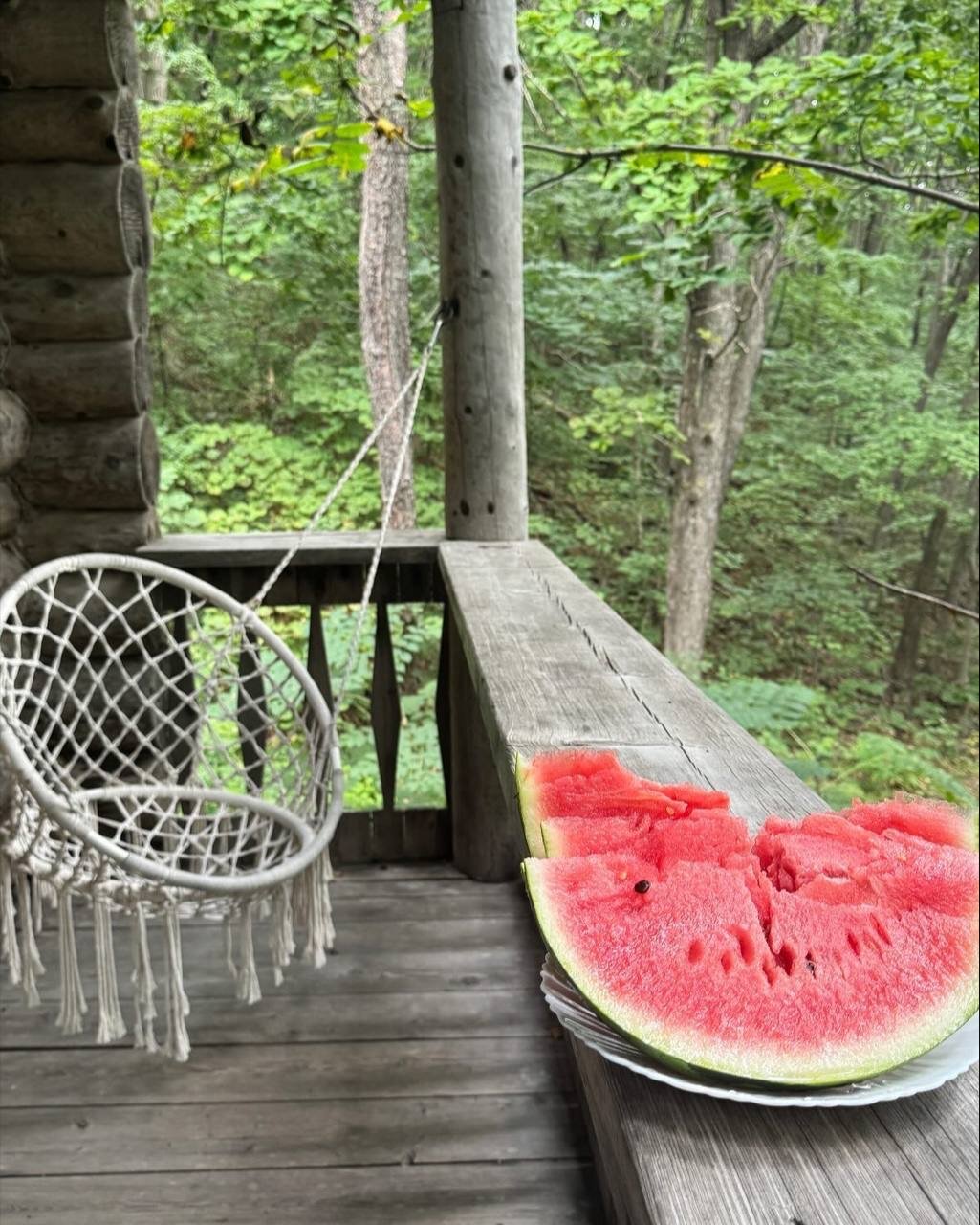 Фото Скаски