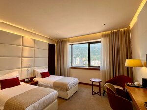 Гостиница Hotel Mepas