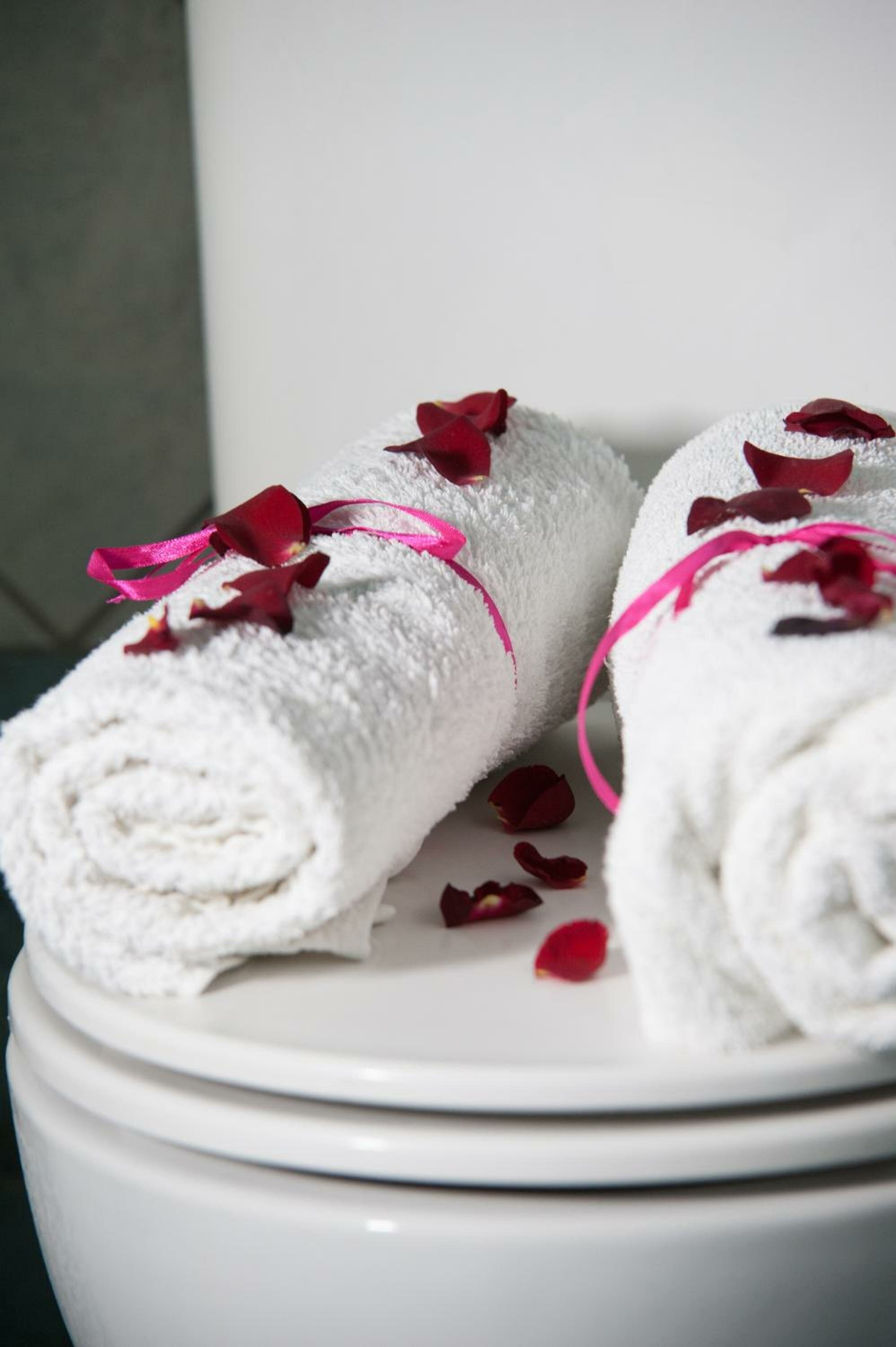 Фото Theoni Apartments