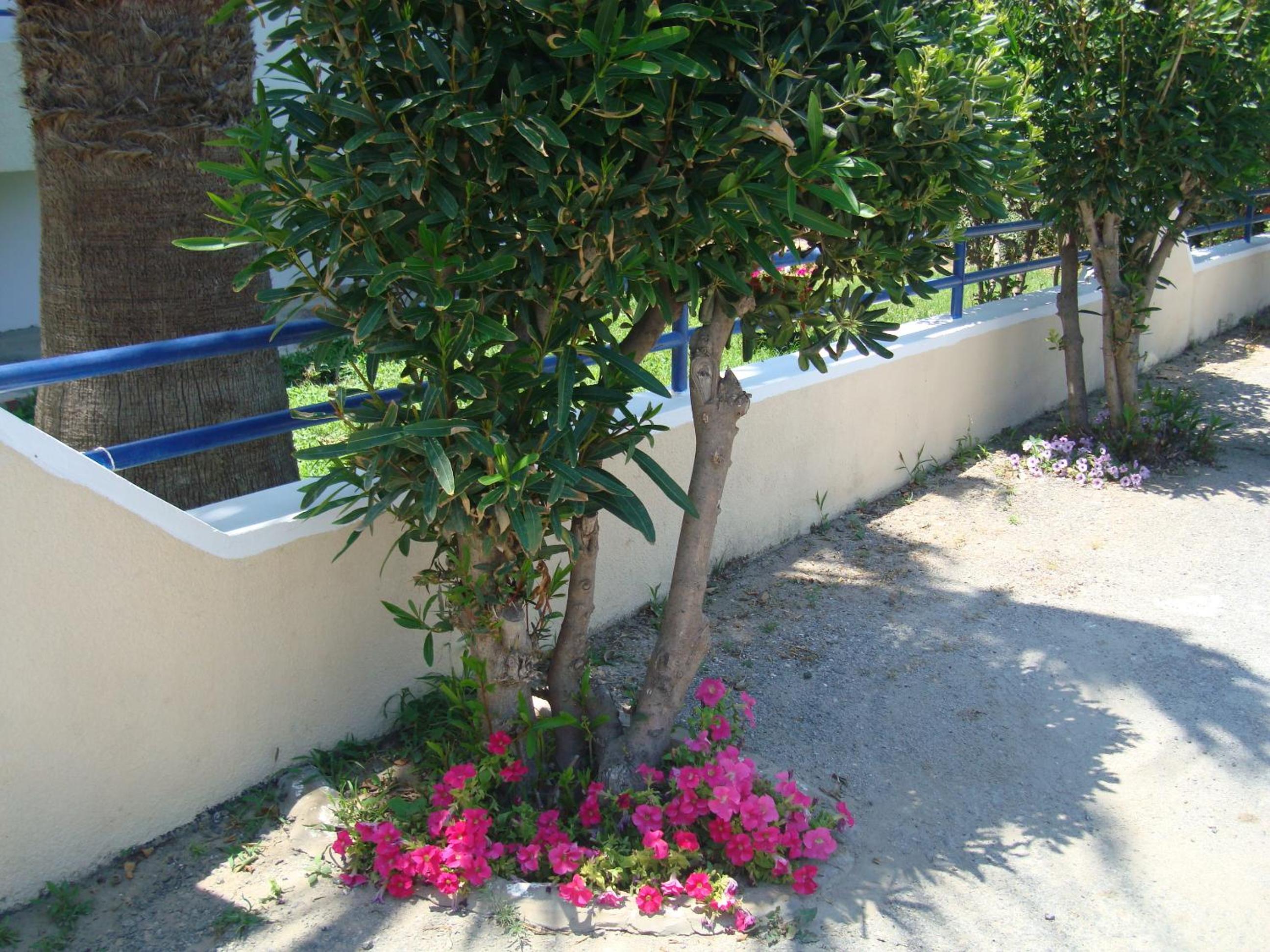 Фото Philippos Studios