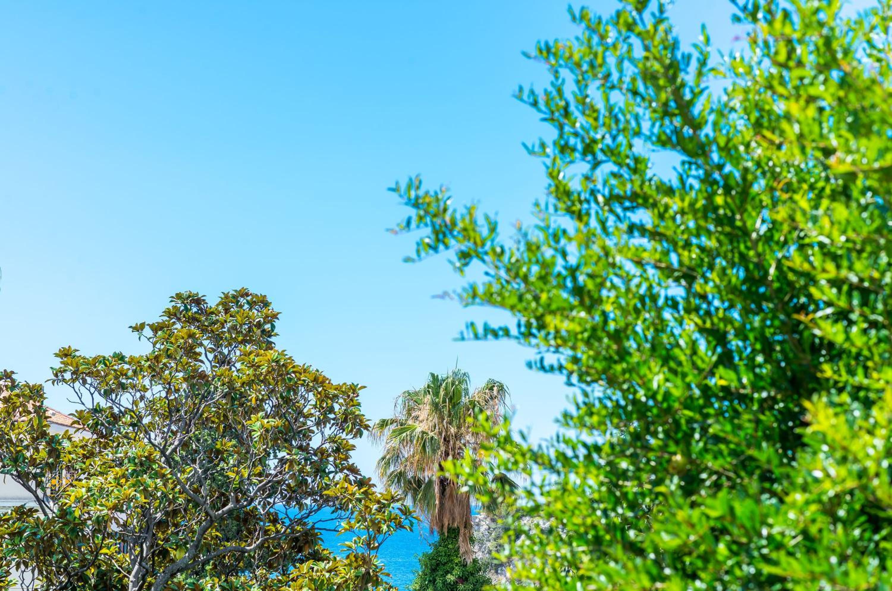 Фото Apartments Paula