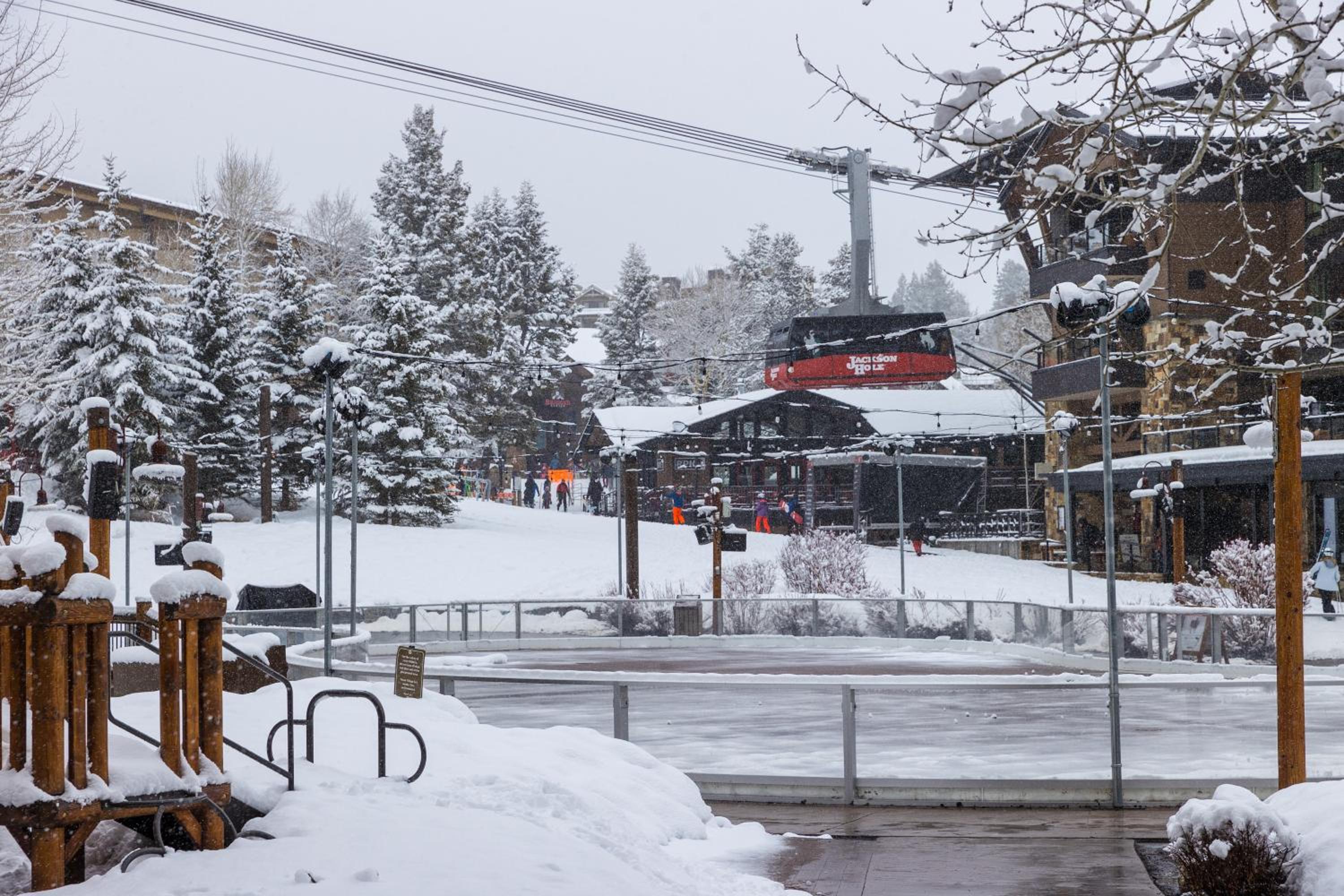 Фото Hotel Terra Jackson Hole - A Noble House Resort
