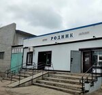 Rodnik (Aliya Moldagulova Street, 49) ، محل بقالة