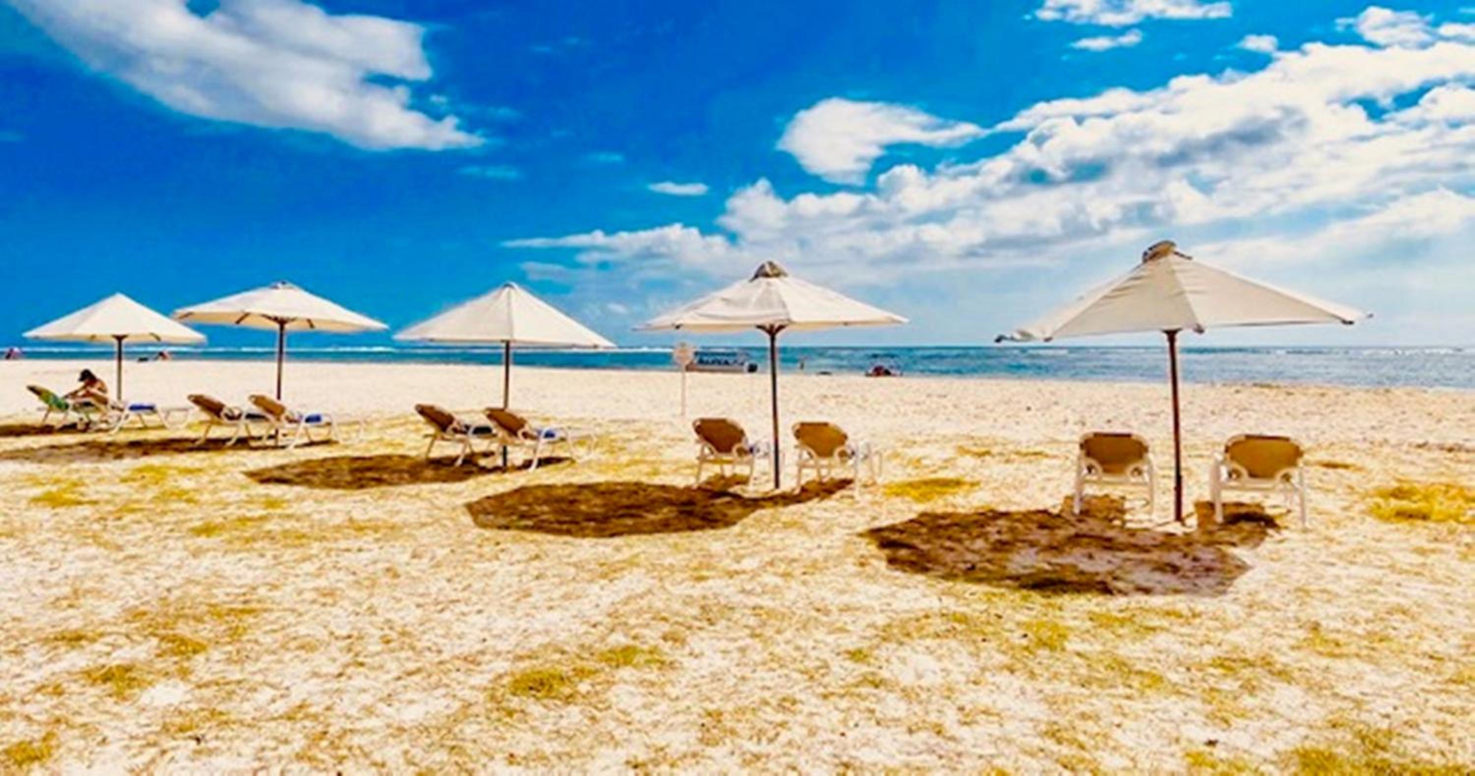 Фото Sugar Reef West Coast