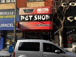 Pethowen (Istanbul, Kucukcekmece, Sultan Murat Avenue, 42A), pet shop