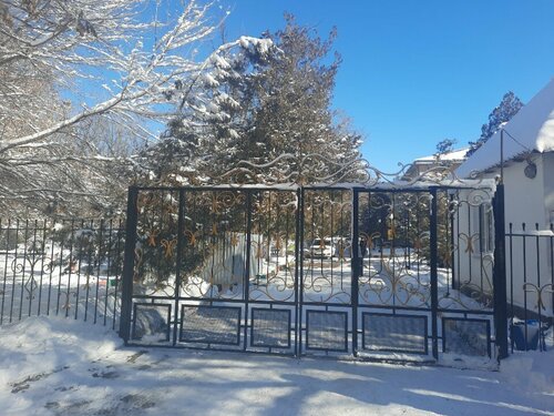 Қызбен және аңмен жыныстық қатынас