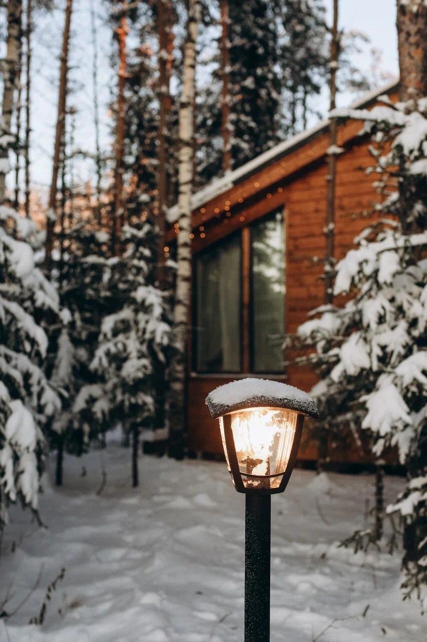 Фото Дача ForestHall