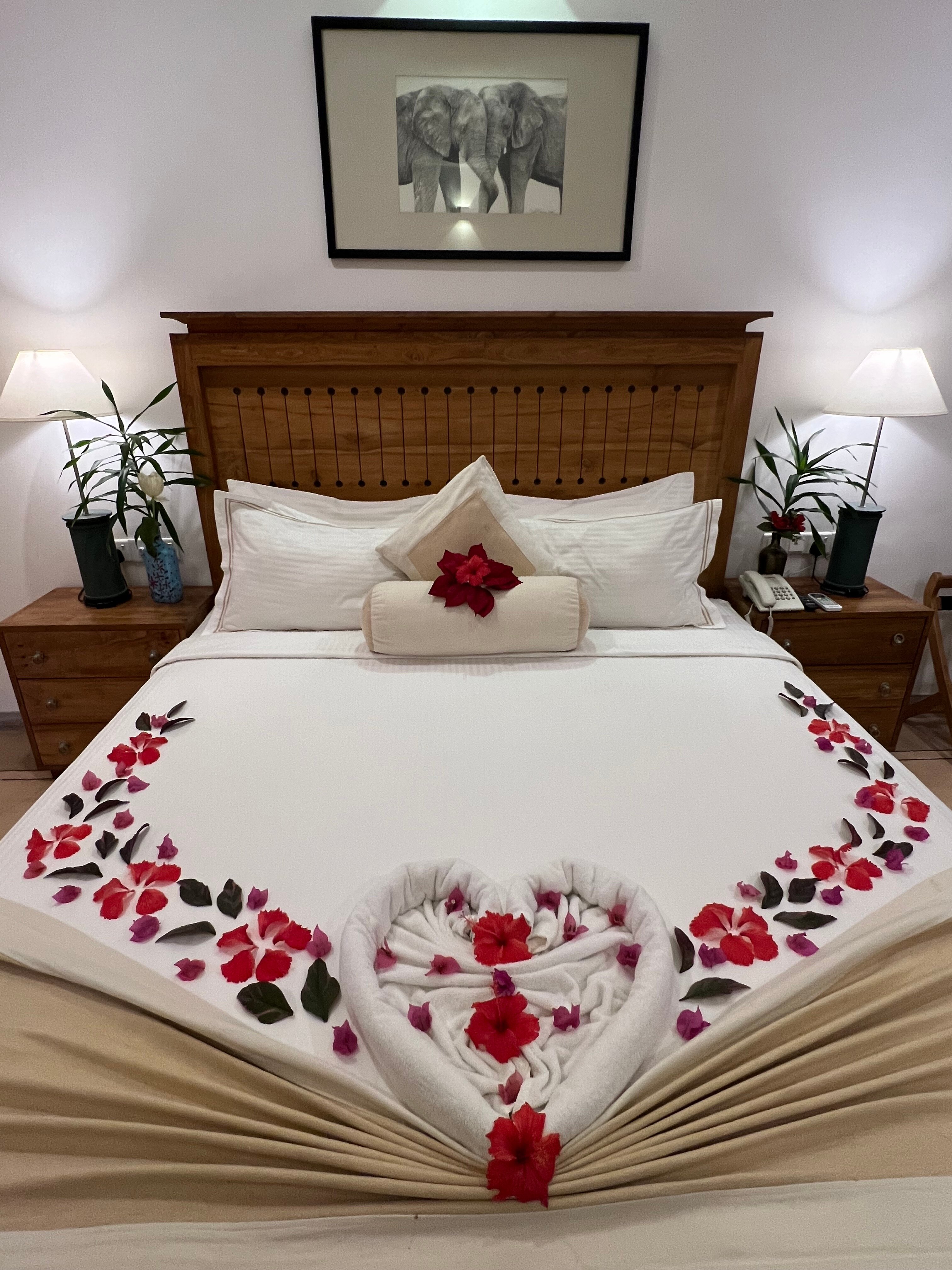 Фото Lucky Elephant