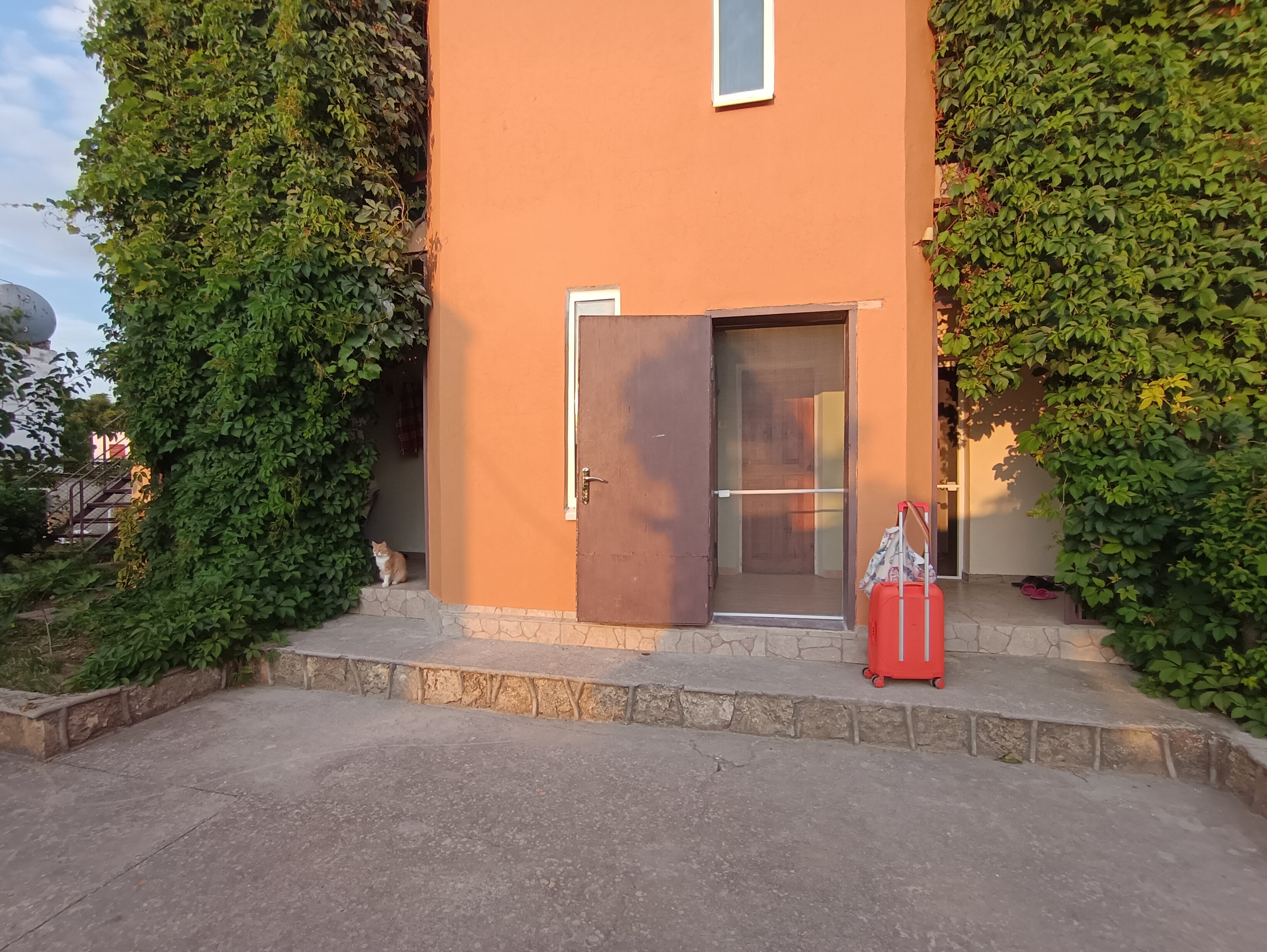 Фото Катран