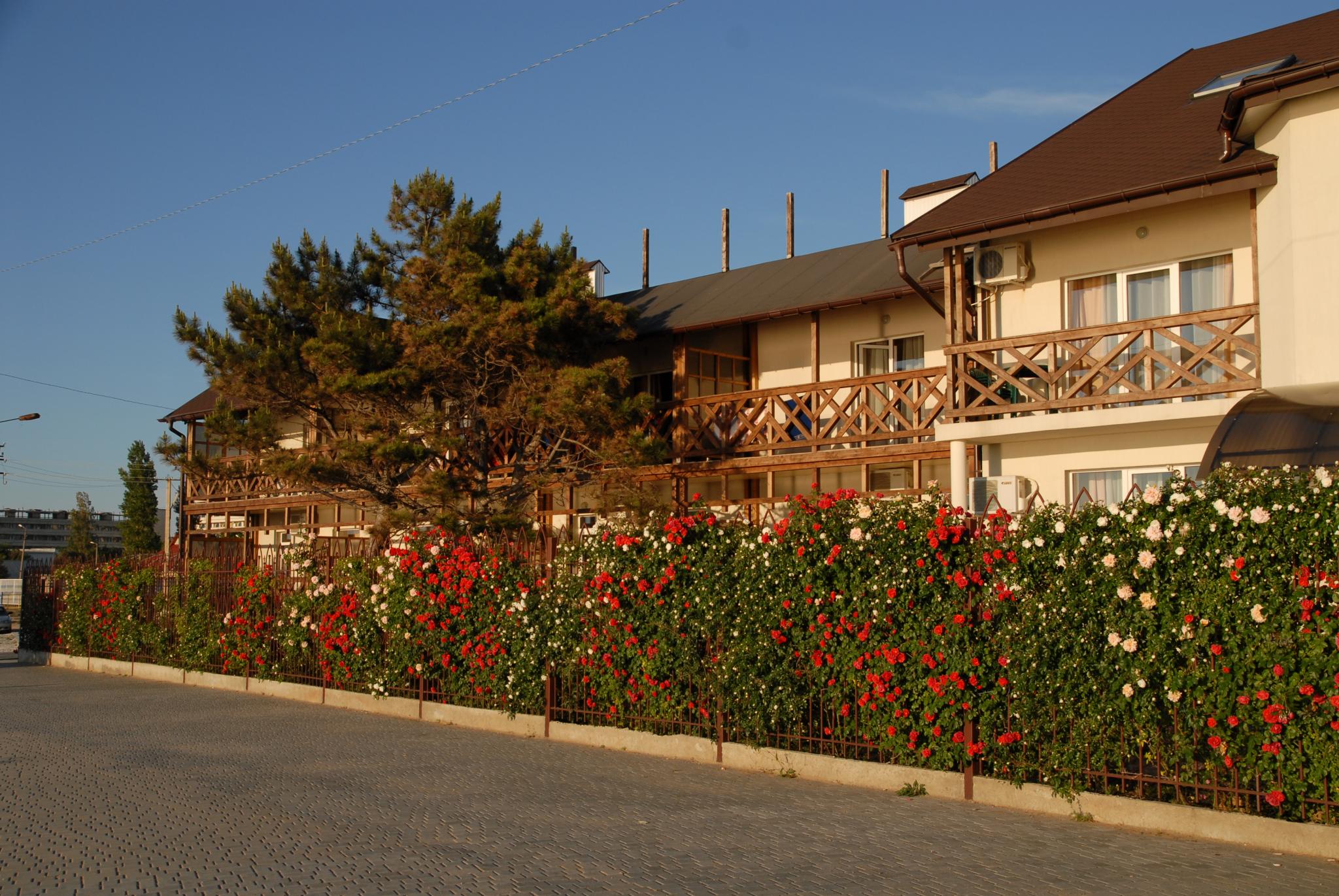 Фото Лагуна