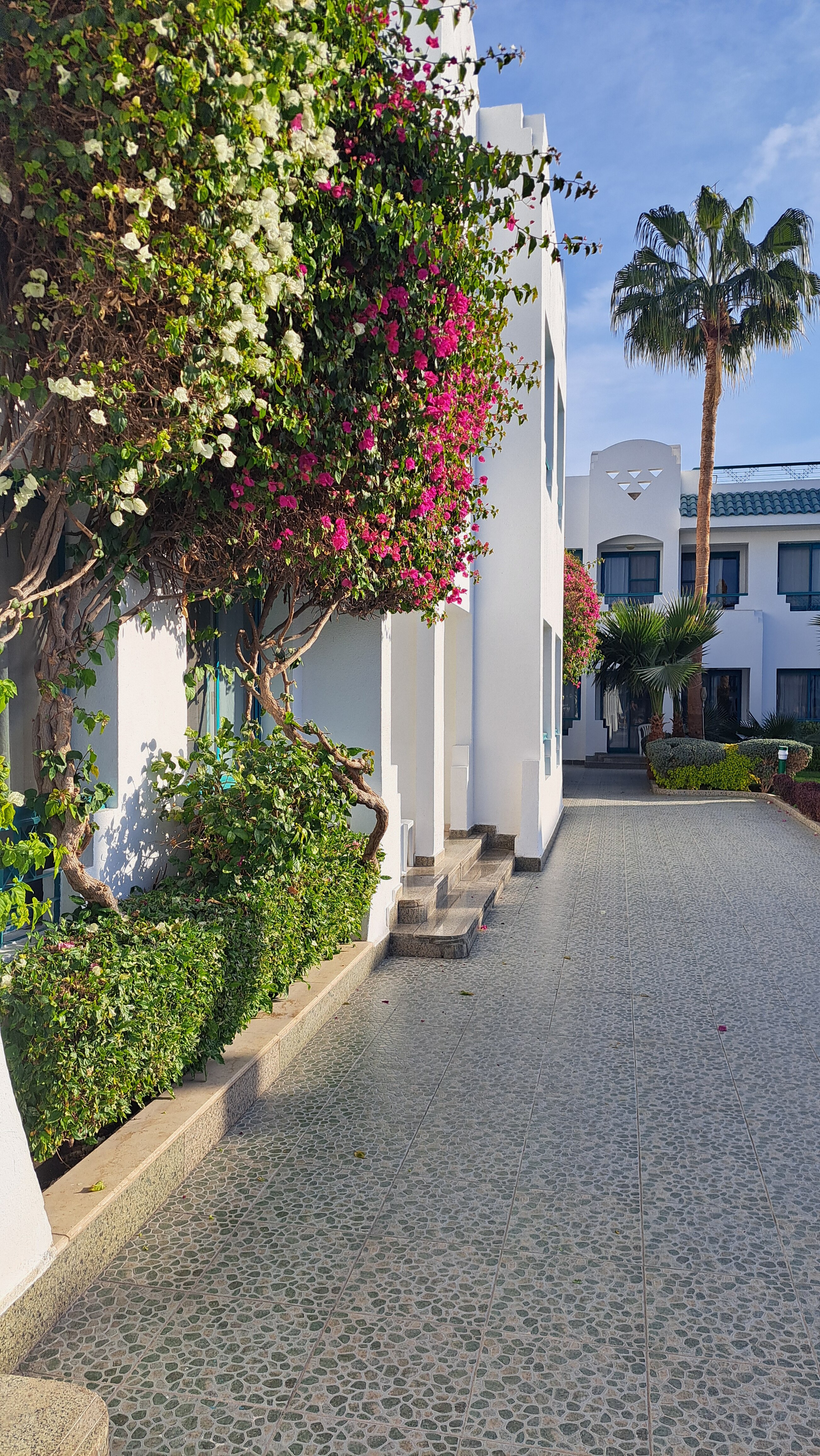 Фото Falcon Hills Hotel