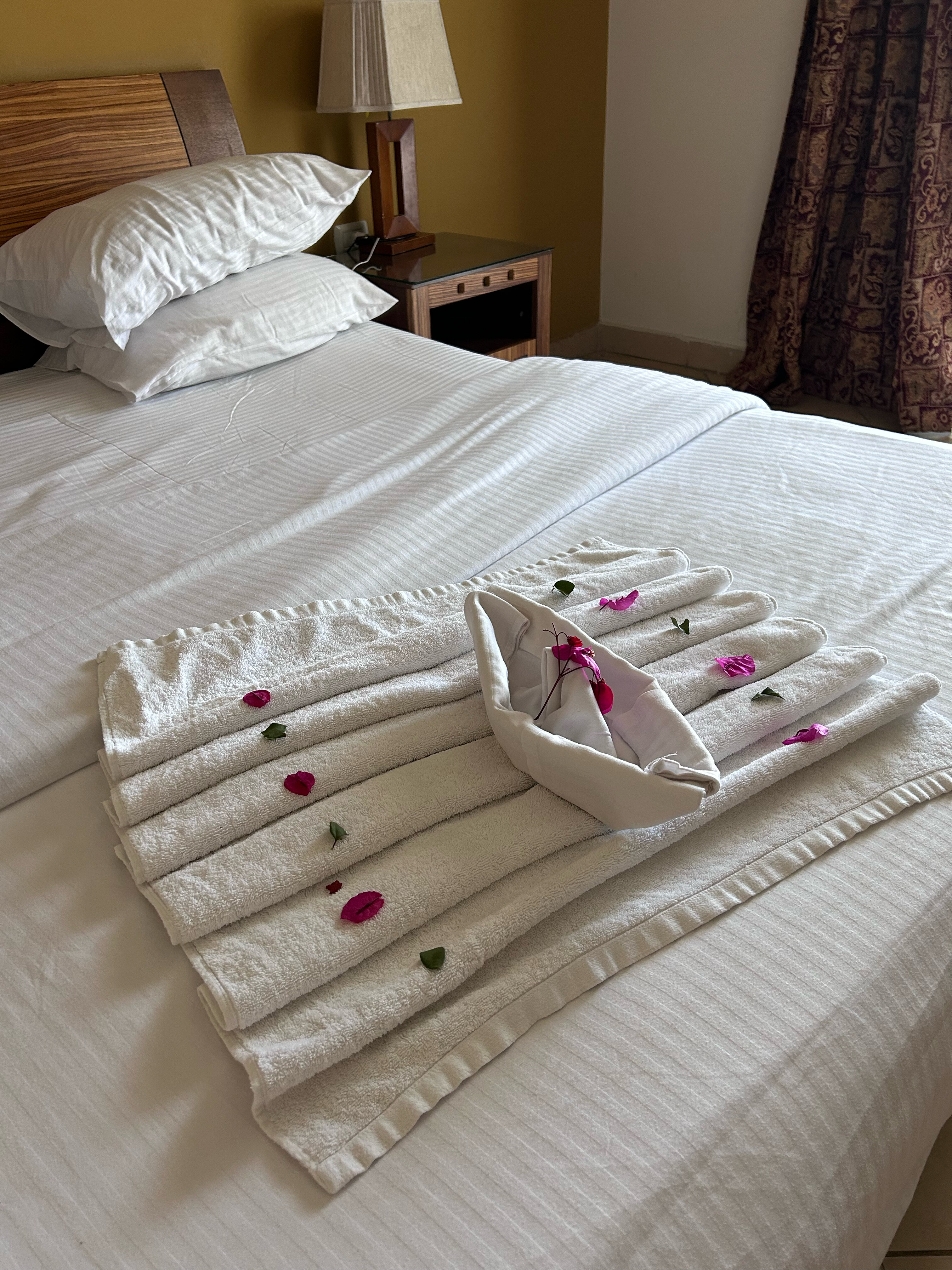 Фото Xperience St. George Homestay