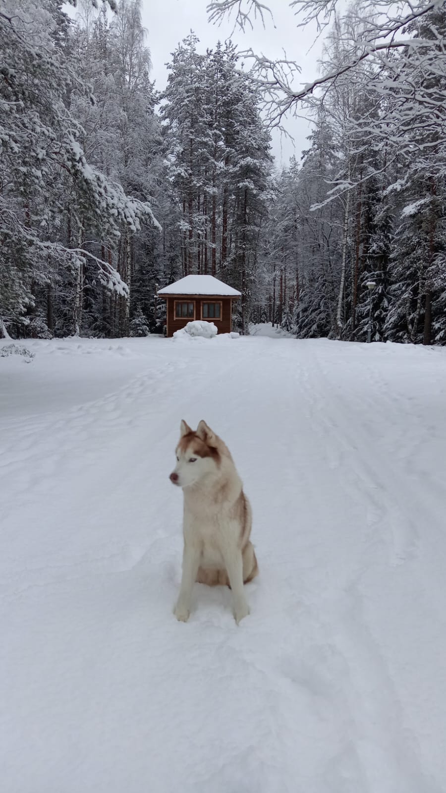 Фото Гармония