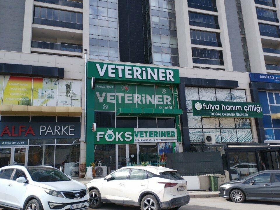 Veterinary clinic Beytepe Veteriner Kliniği, Ankara, photo