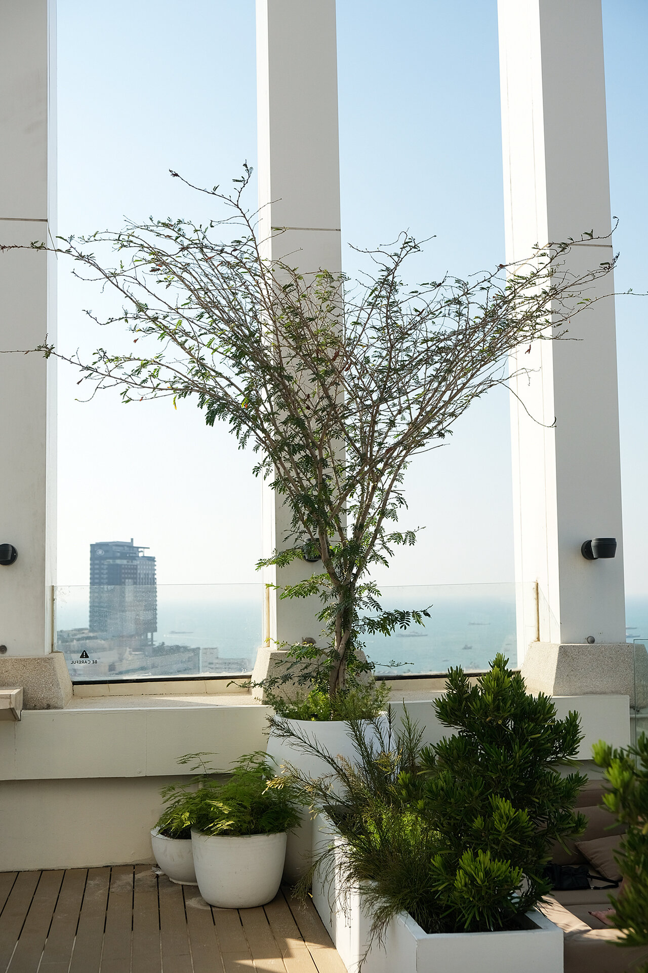 Фото Arbour Hotel and Residence