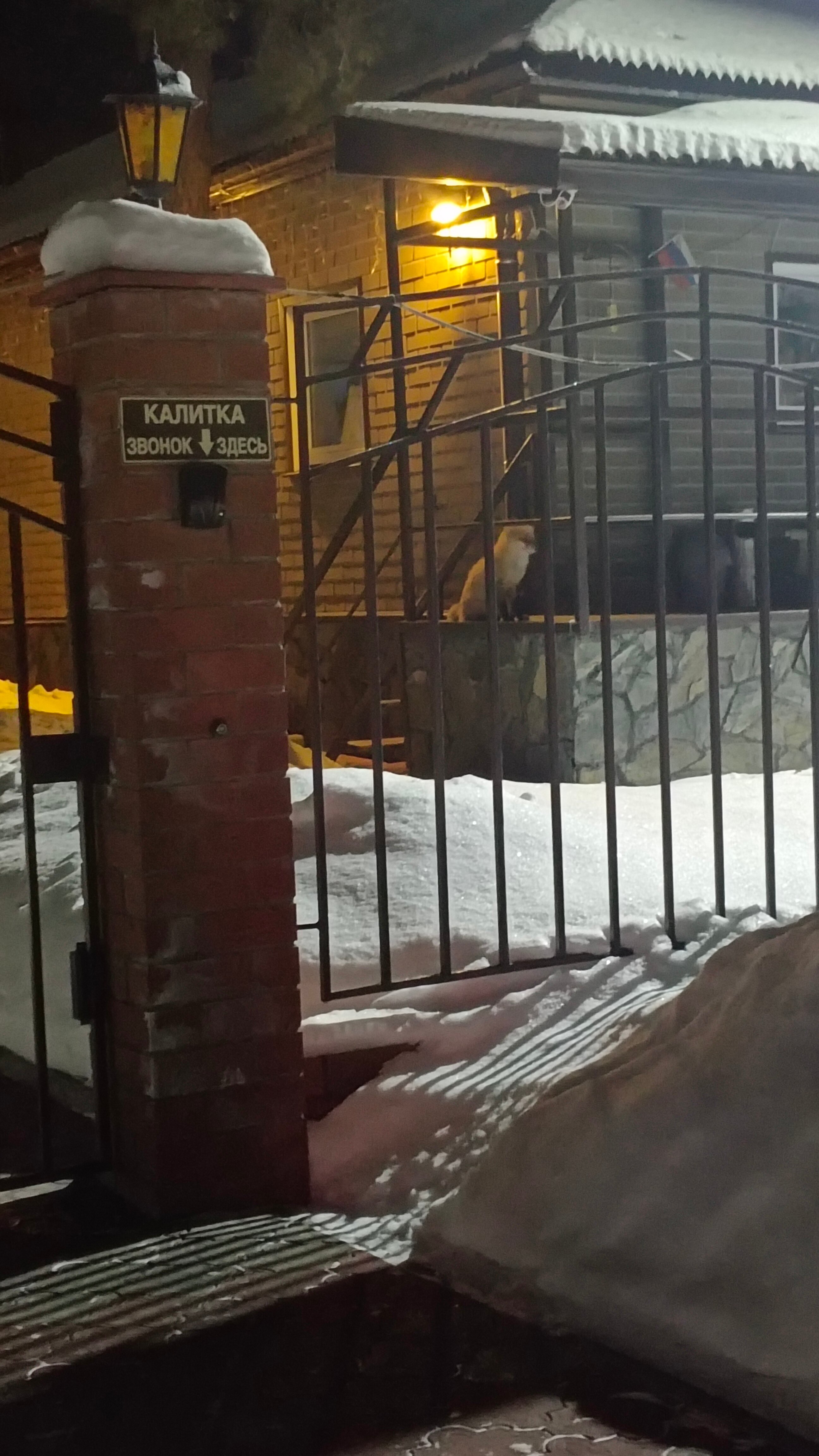 Фото Д-град