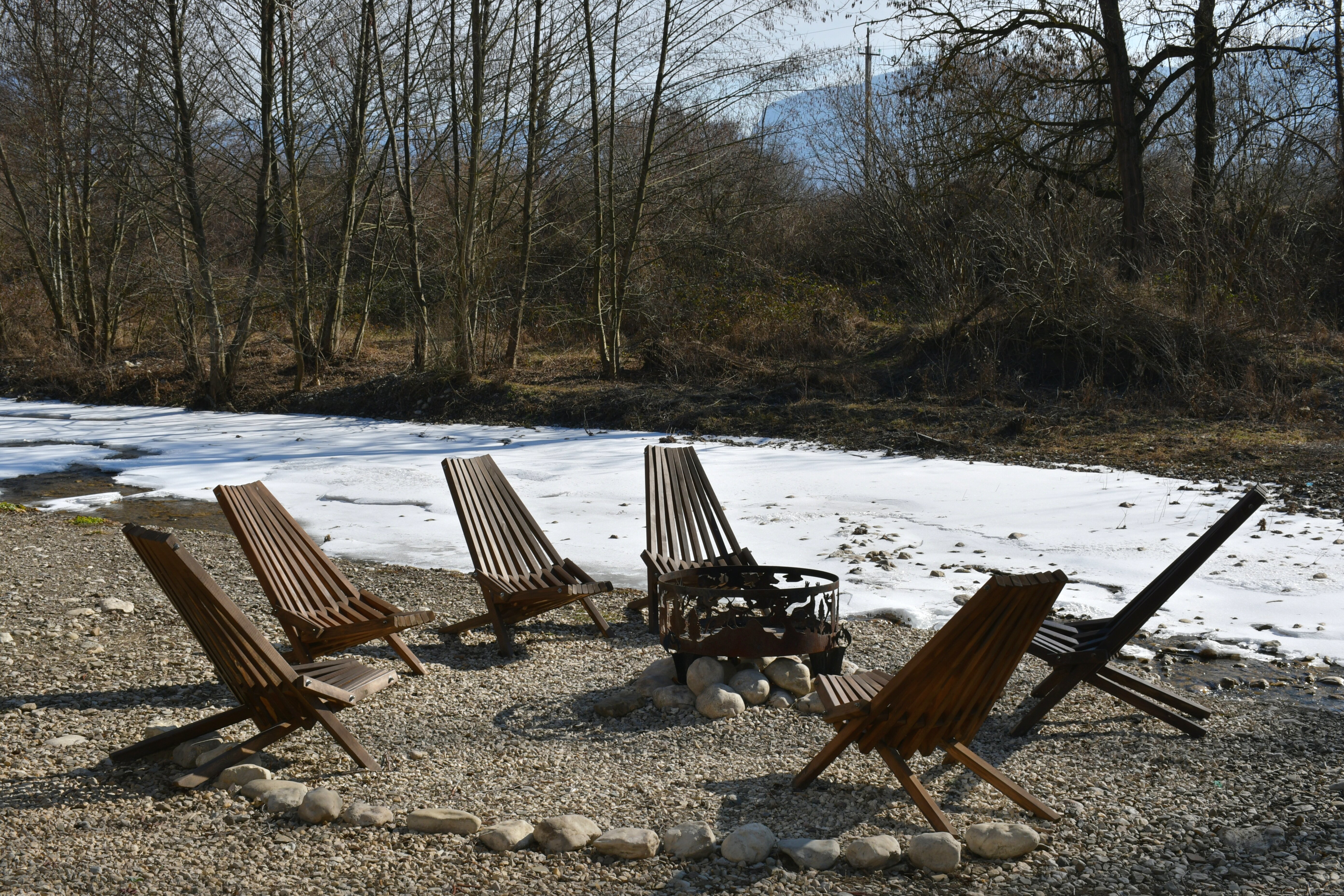 Фото Богатый лес