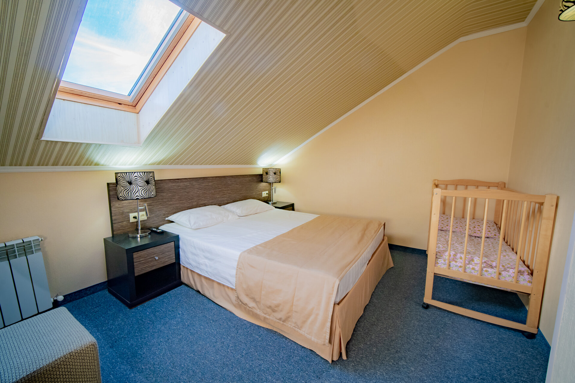 Фото Дельфин