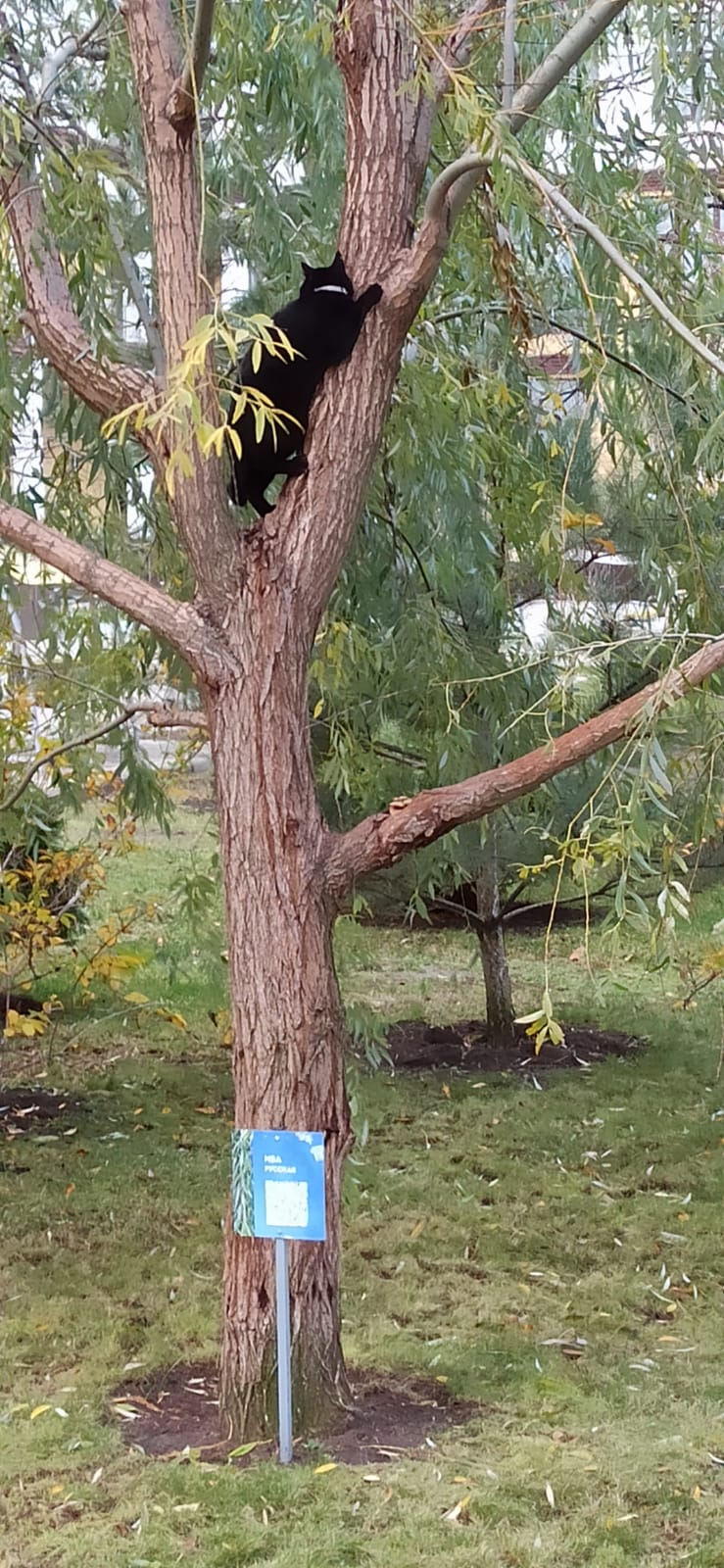 Фото Каникулы в Анапе