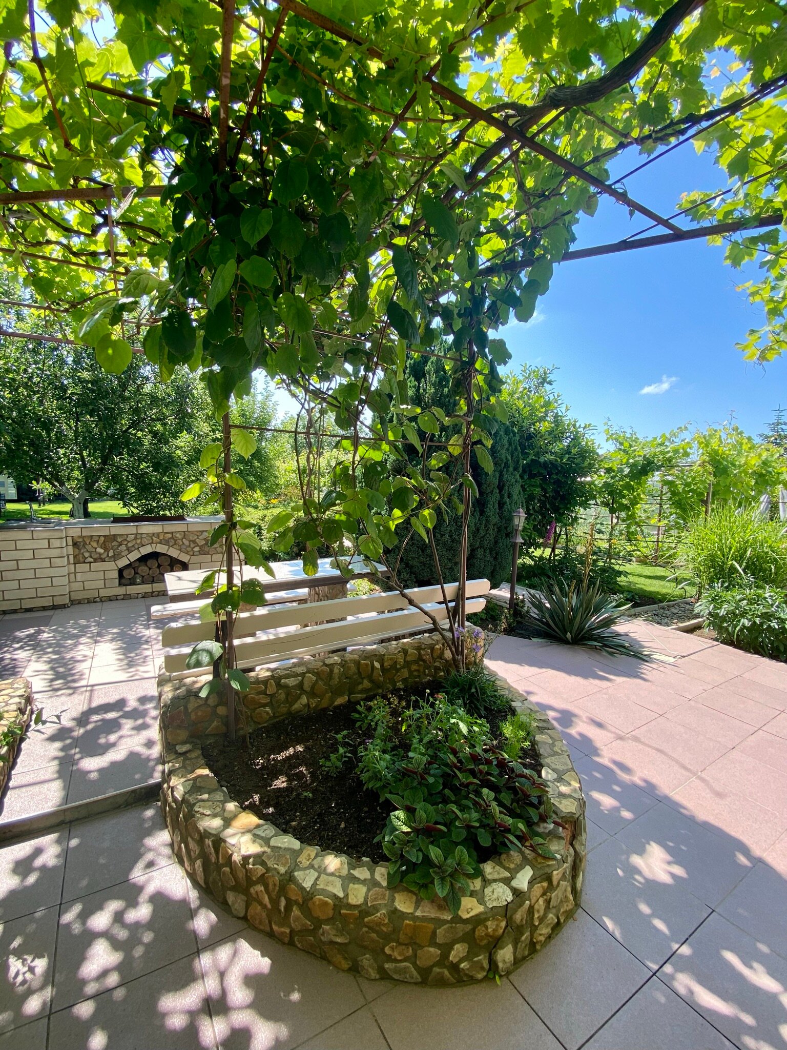 Фото Летний сад