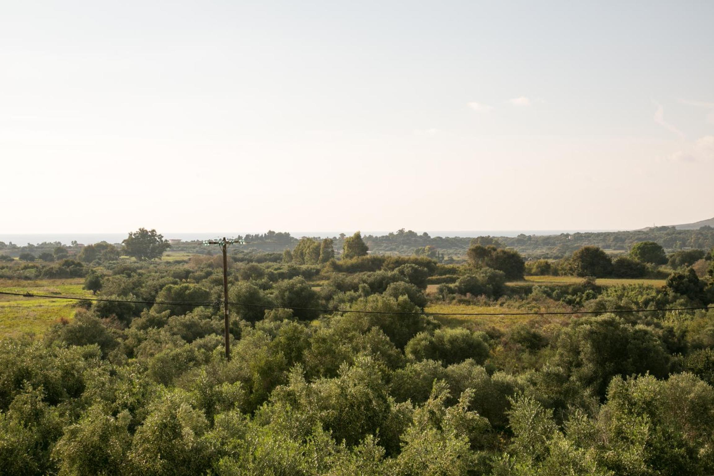 Фото Almyros Studios & Apartments