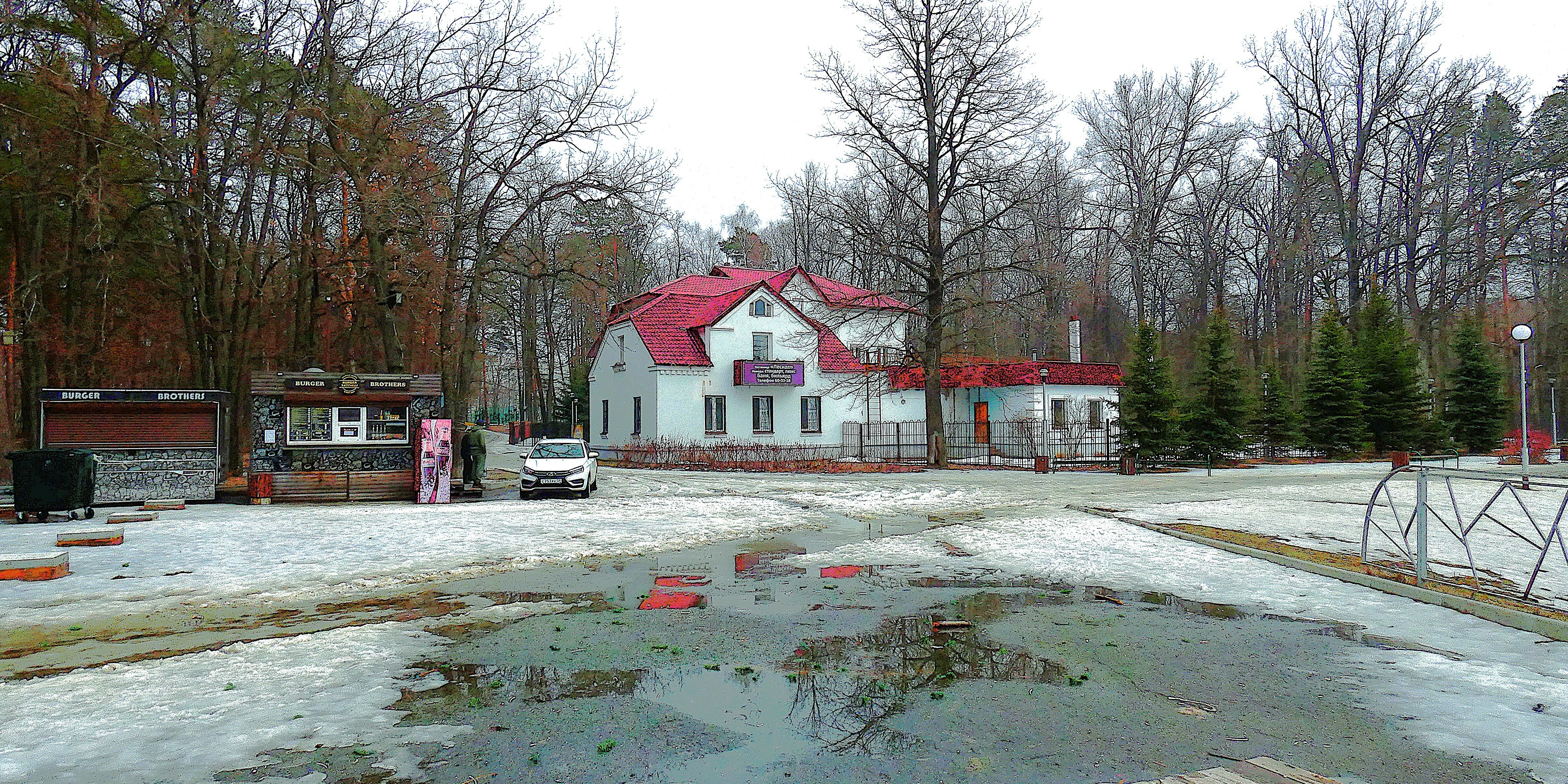 Фото Лесная